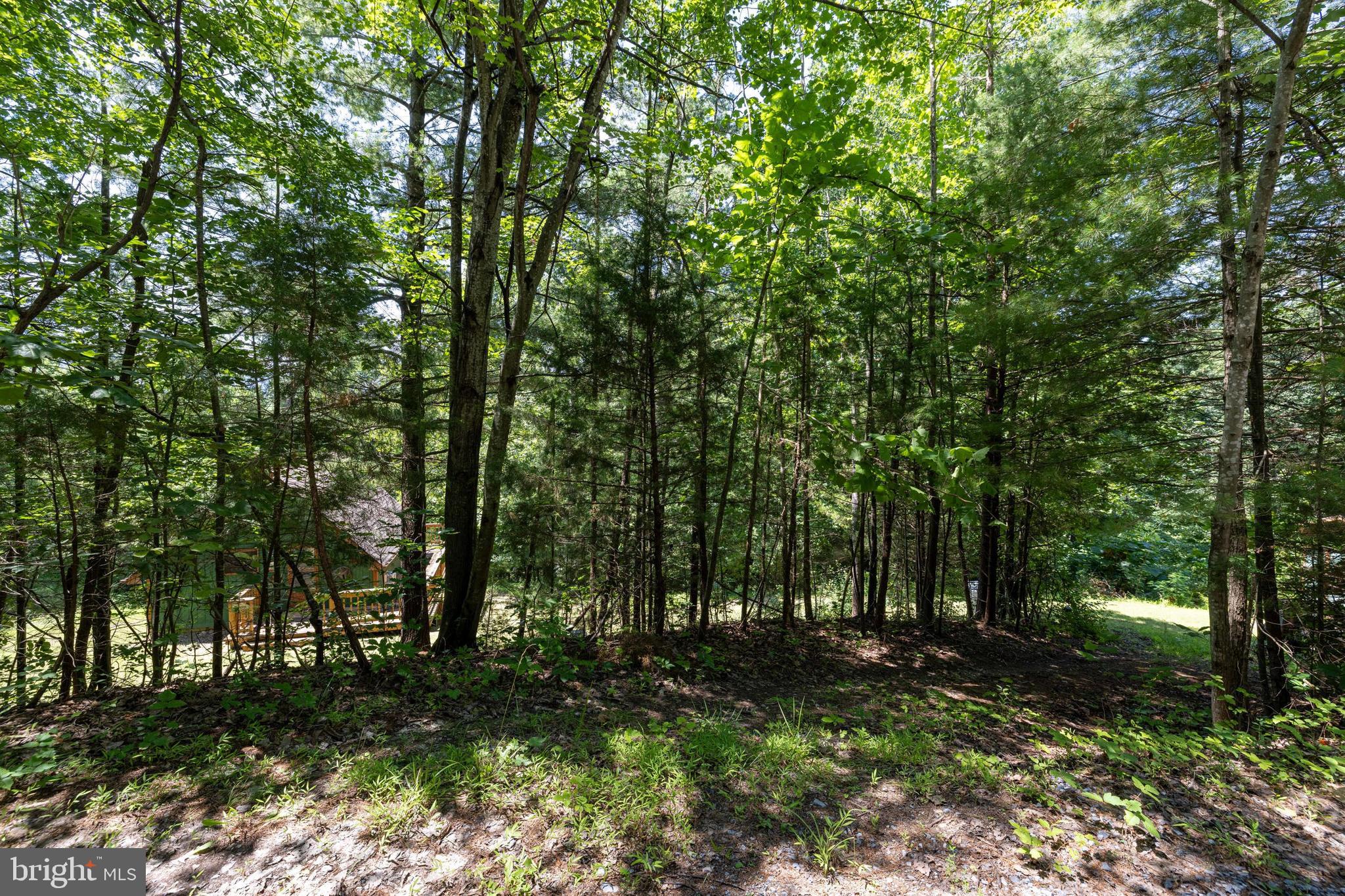 WHITE PINES DIVISON - Residential