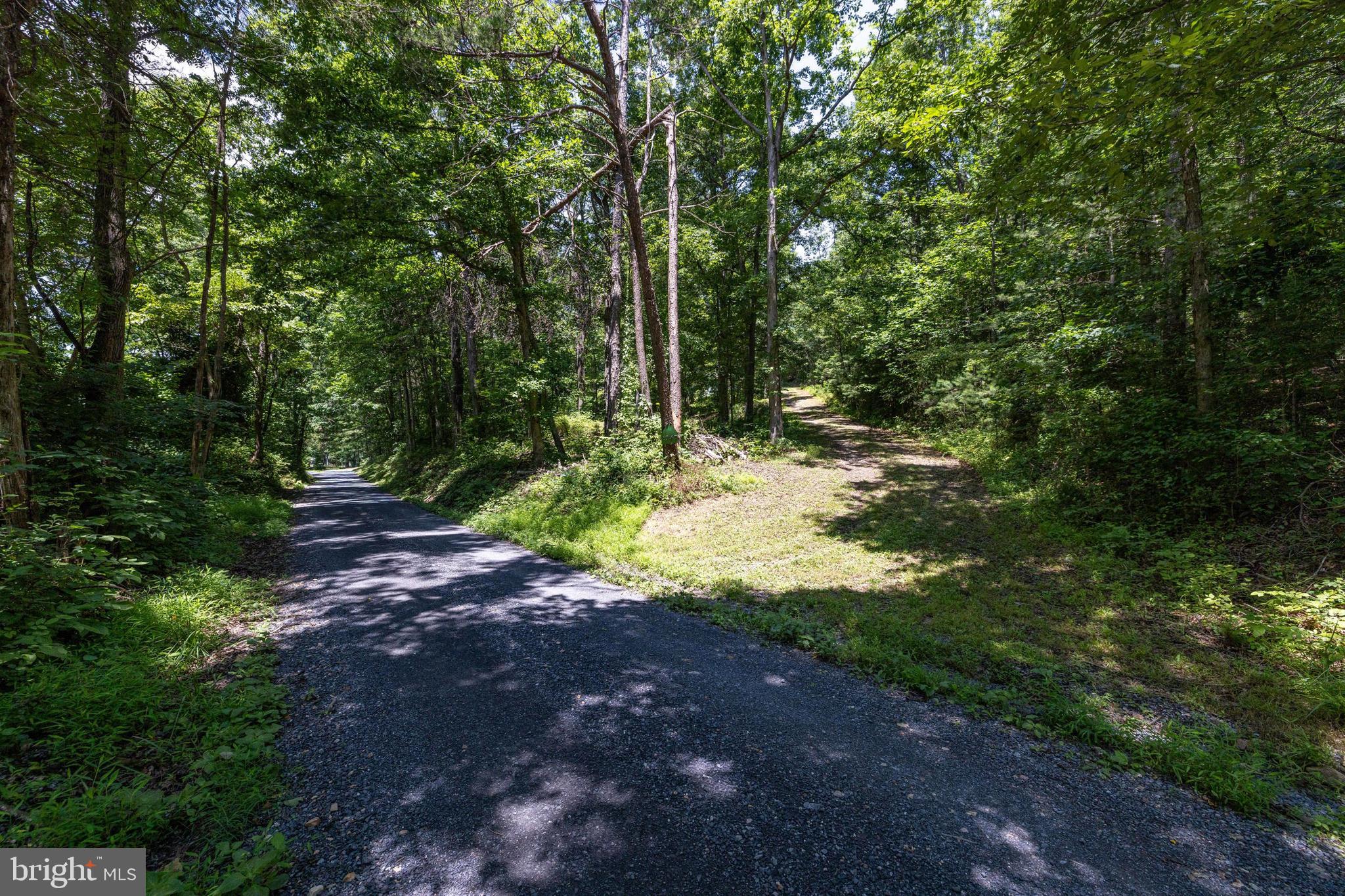 WHITE PINES DIVISON - Residential