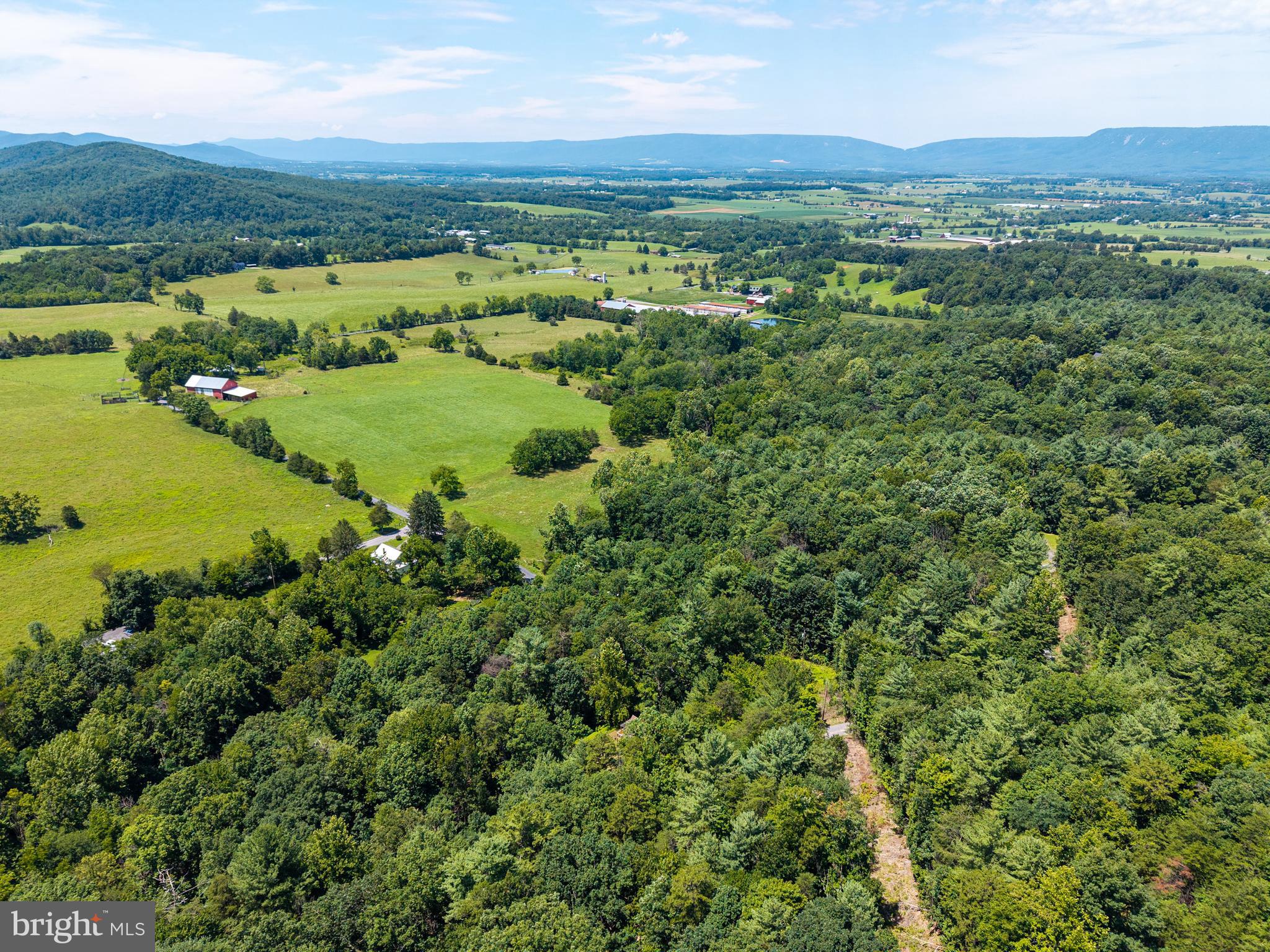 WHITE PINES DIVISON - Residential