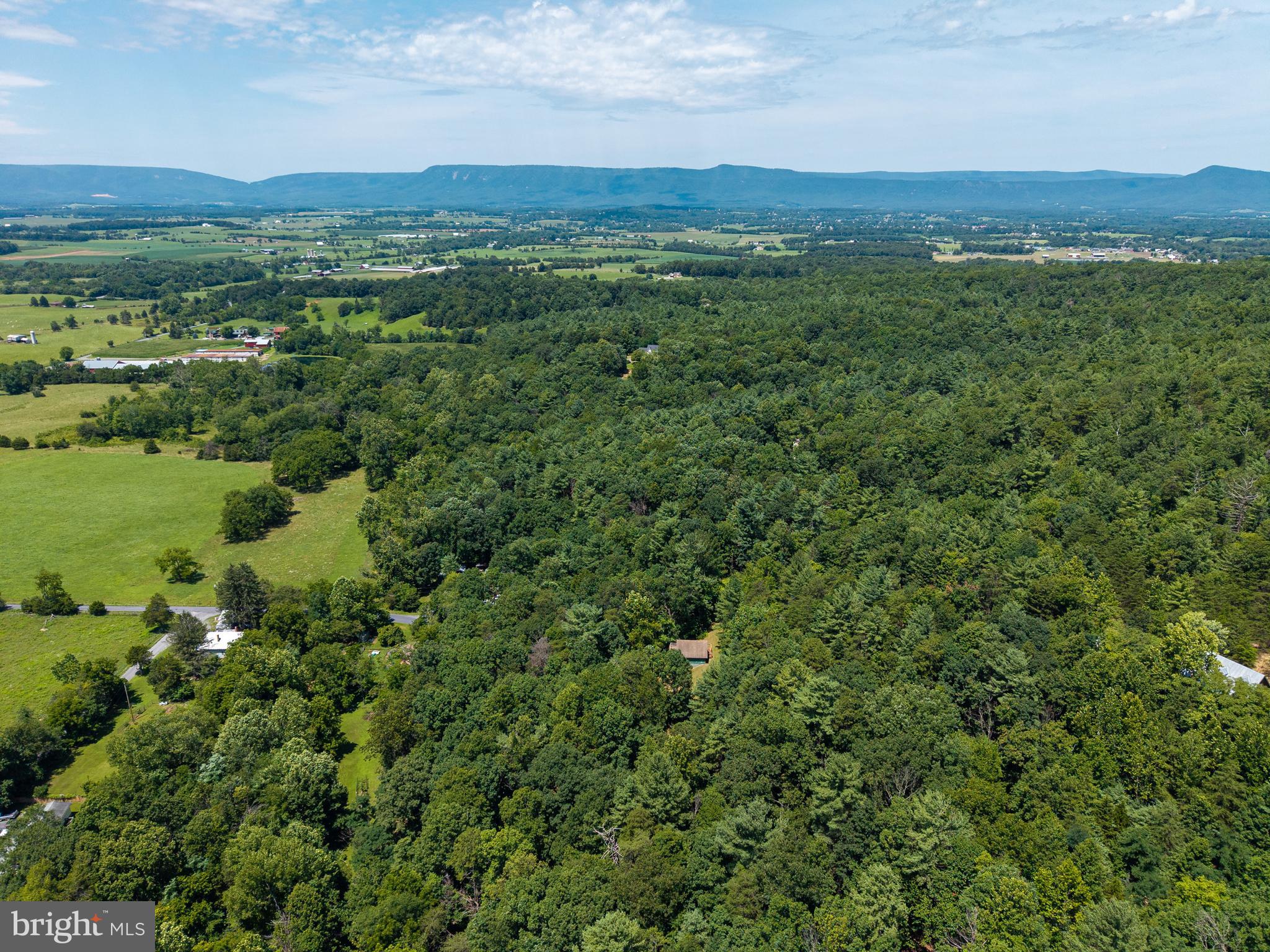 WHITE PINES DIVISON - Residential