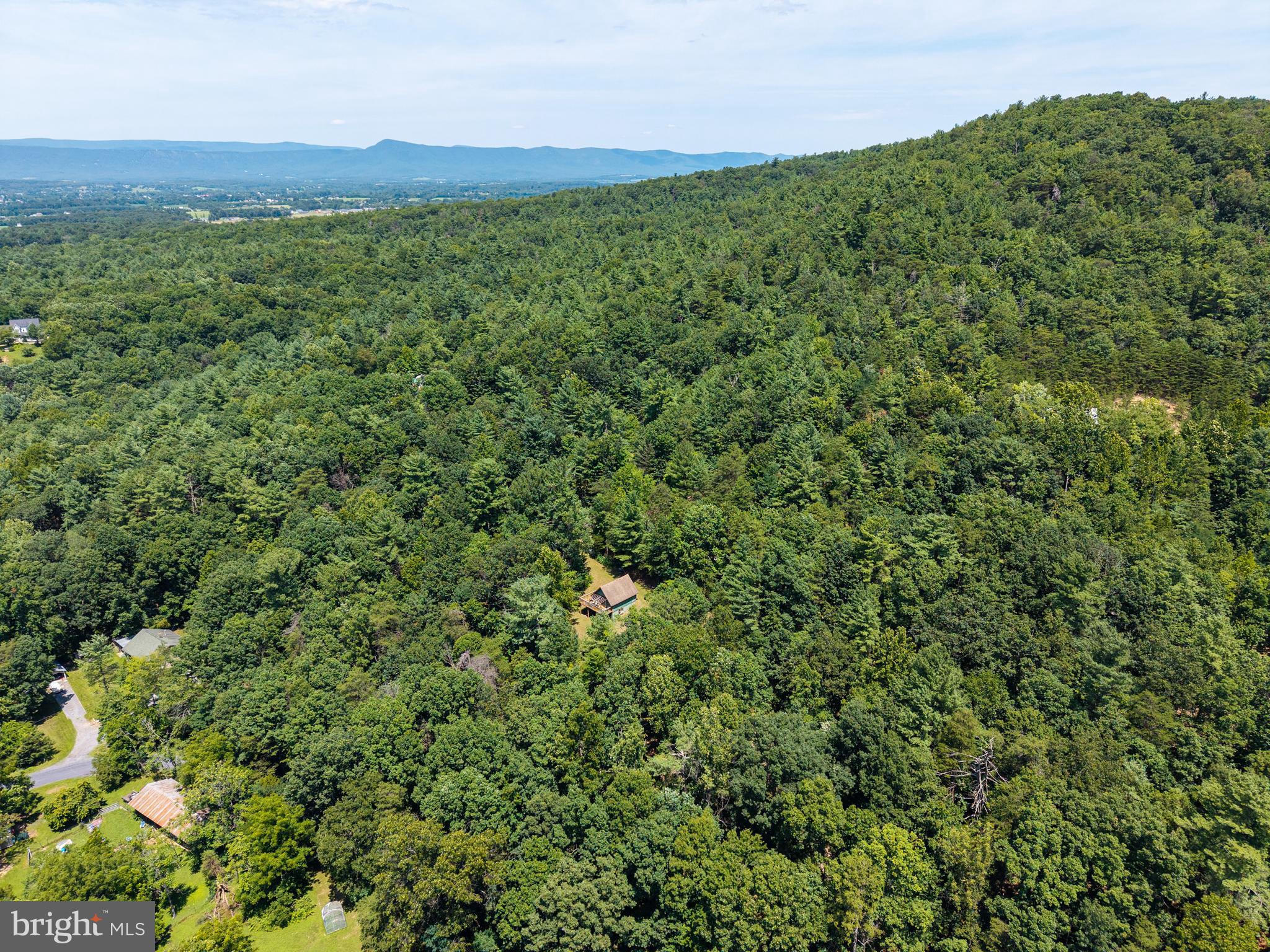 WHITE PINES DIVISON - Residential