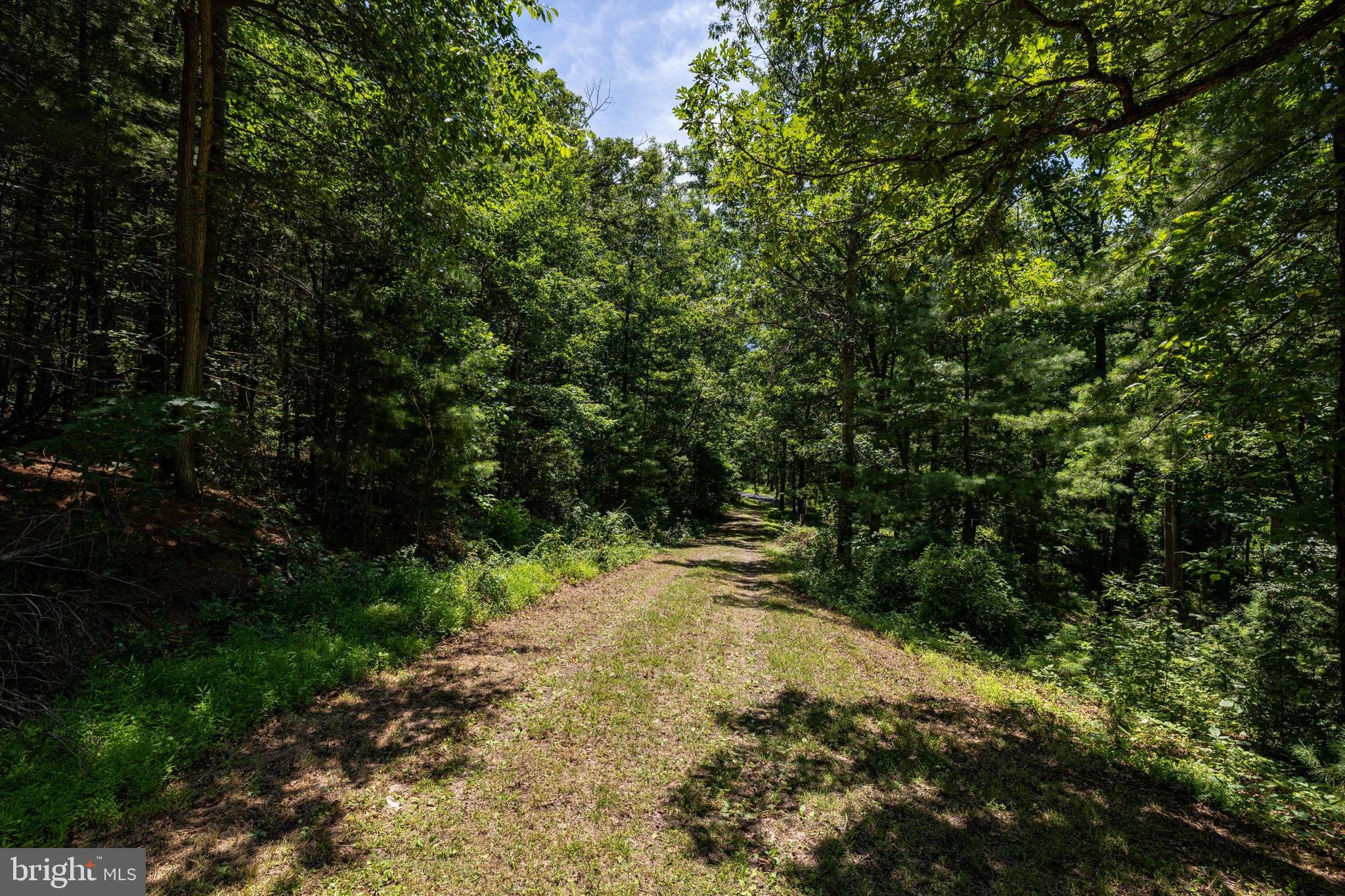 WHITE PINES DIVISON - Residential
