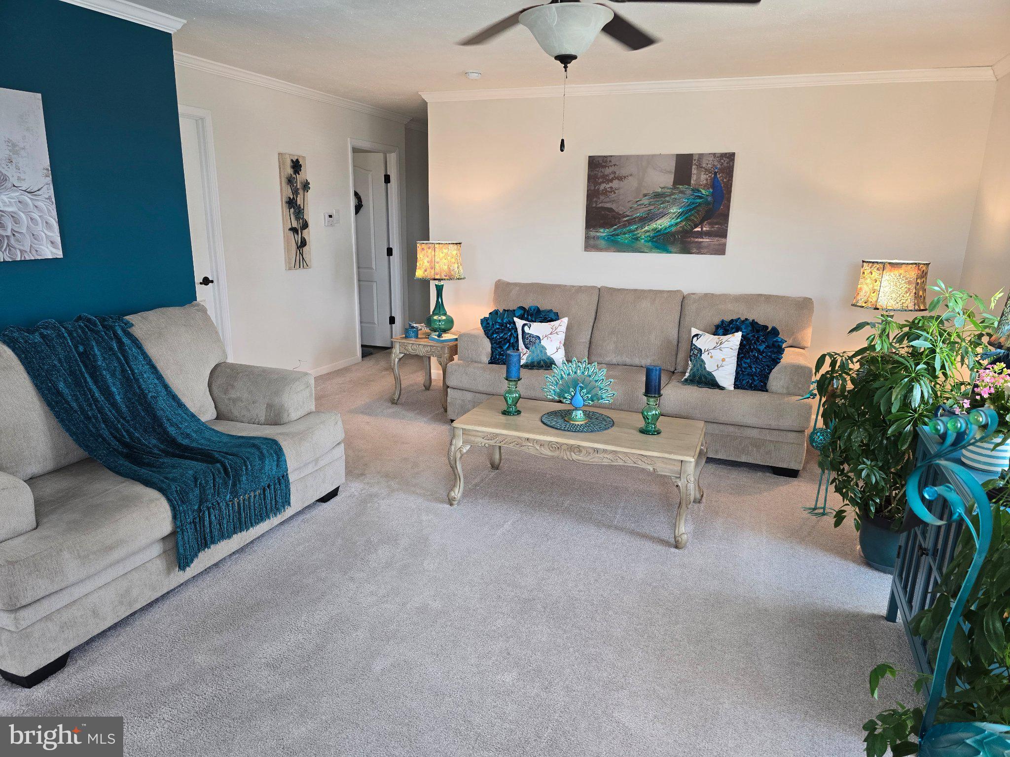 PINE MANOR - Residential