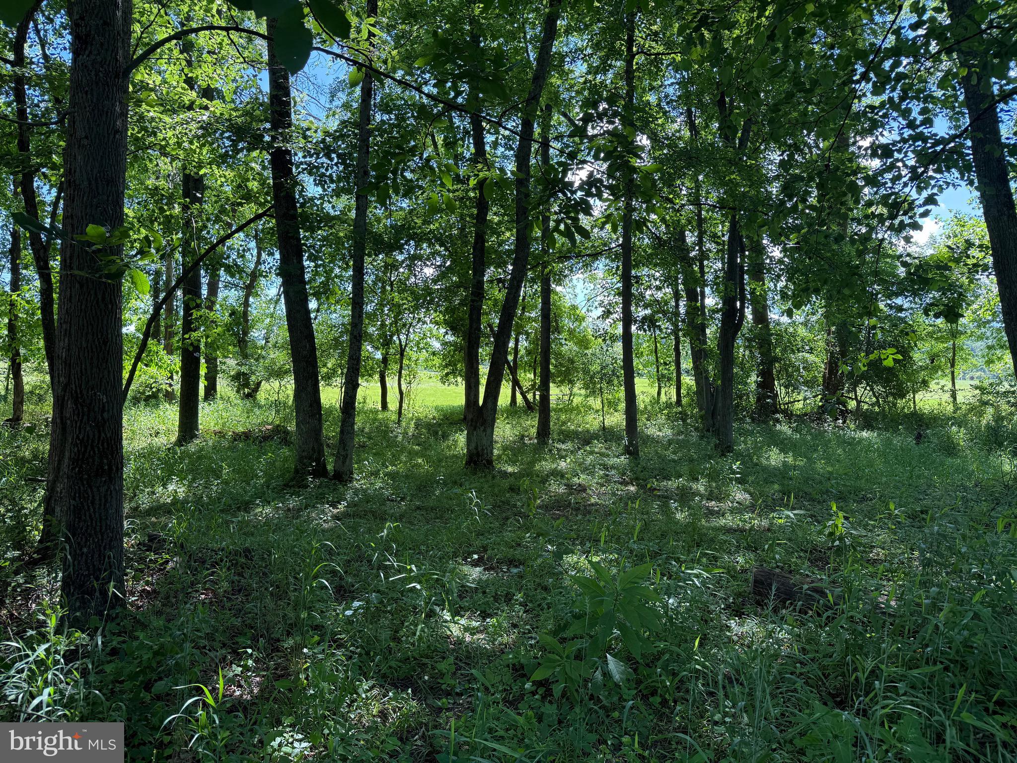 HORSESHOE RUN - Land