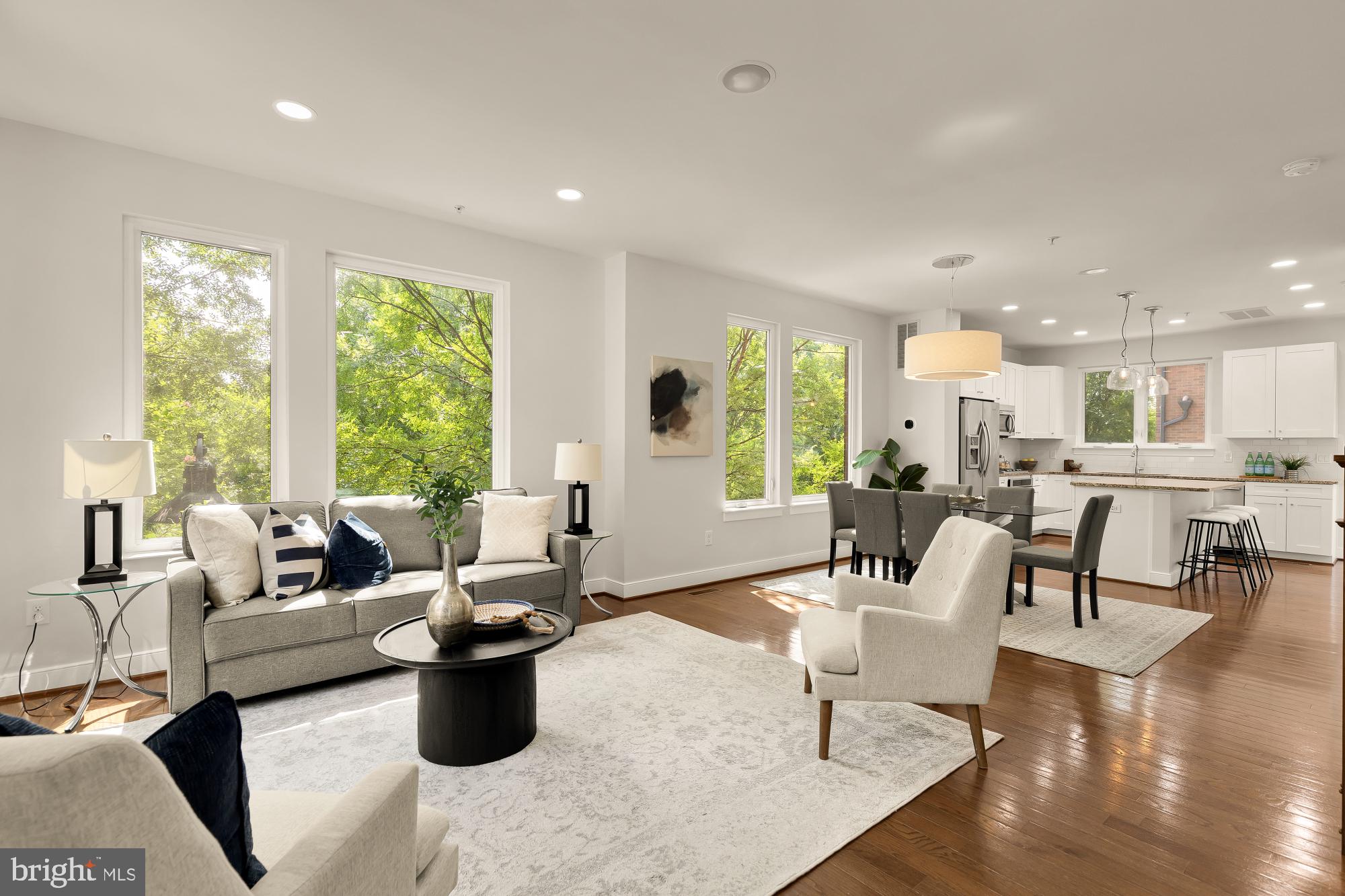 HYATTSVILLE ARTS DISTRICT - Residential