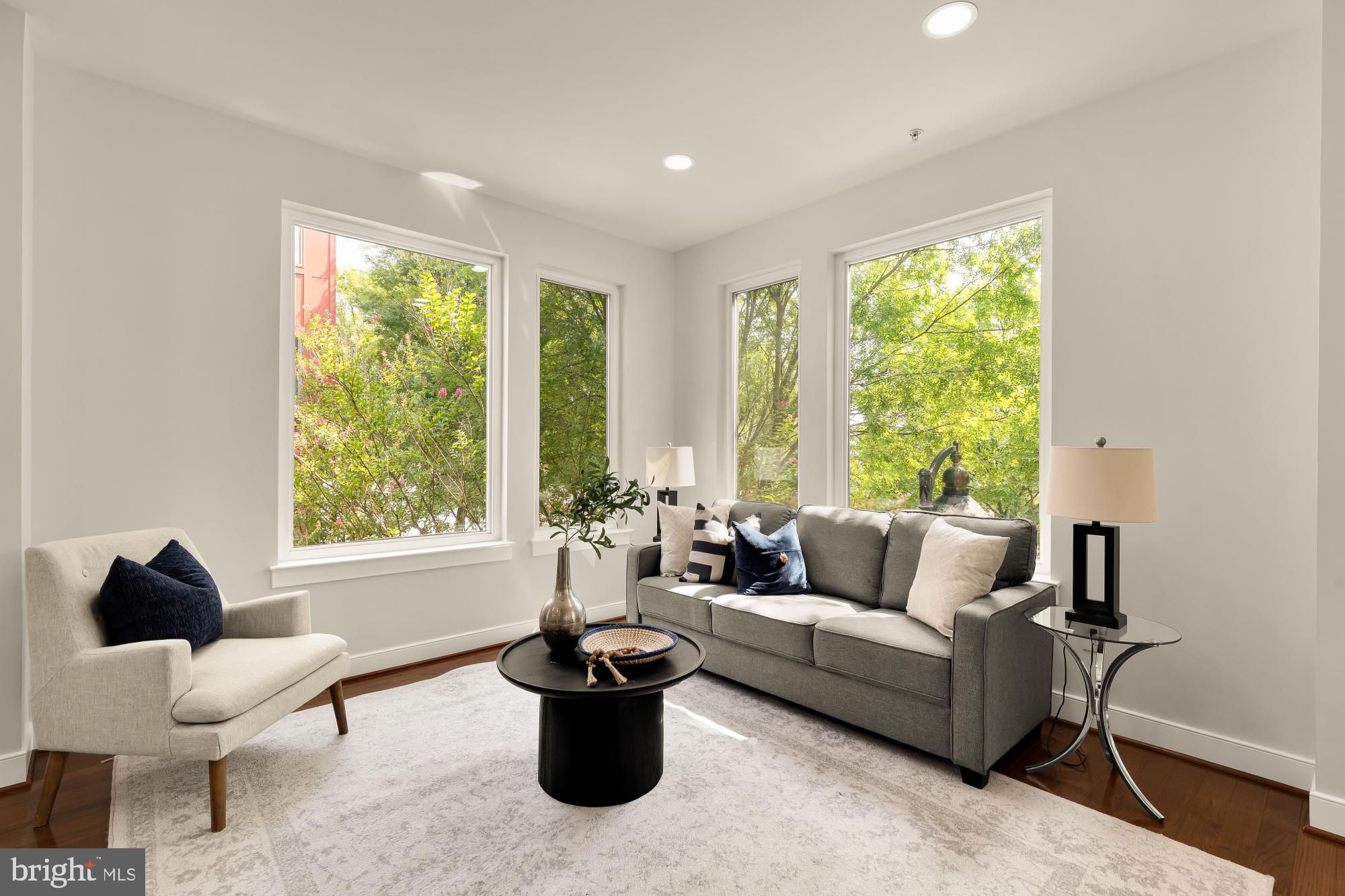 HYATTSVILLE ARTS DISTRICT - Residential