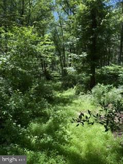 BRITTANY COMMONS - Land