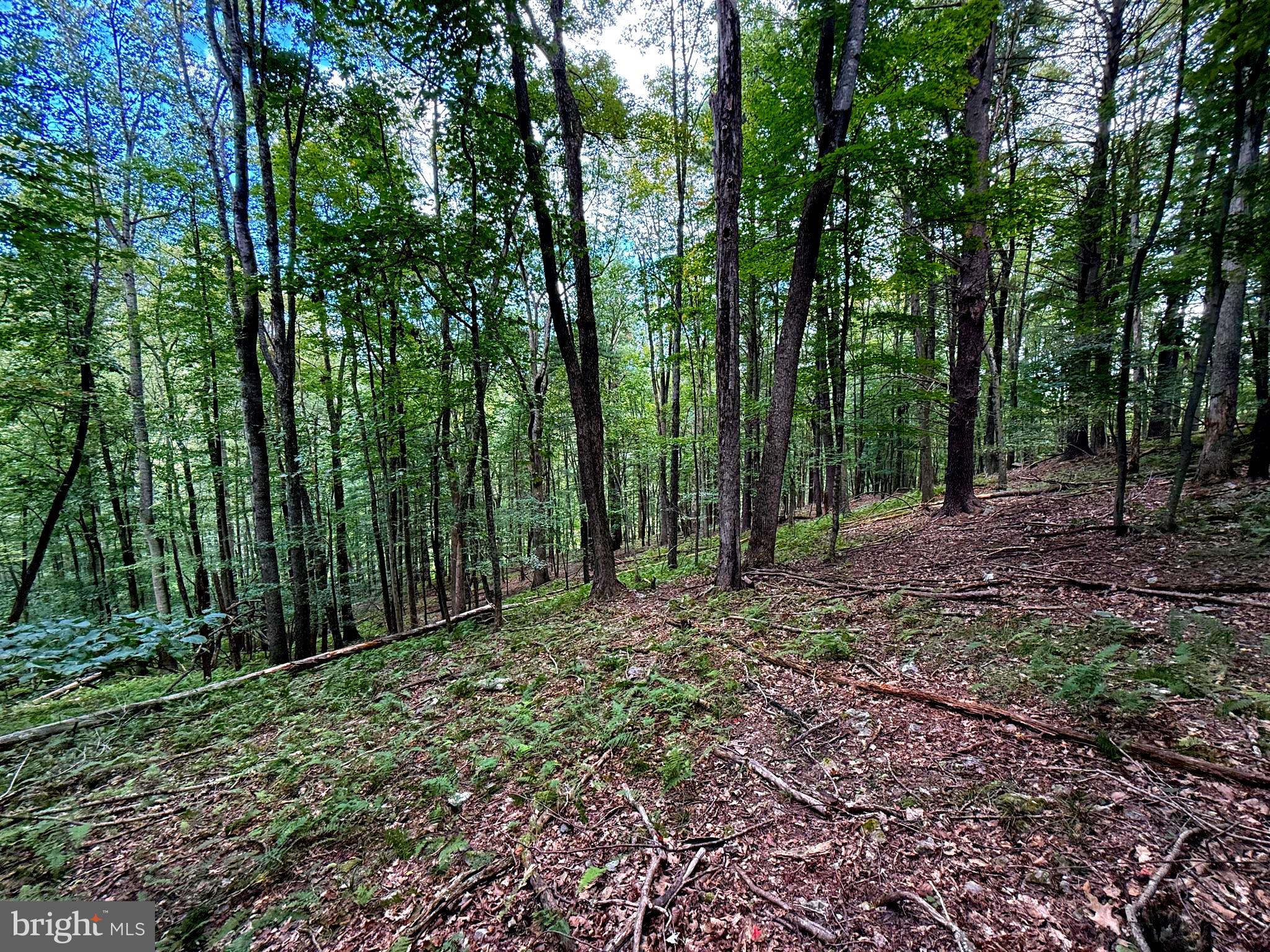 LOST RIVER MOUNTAIN SUBDIVISION - Land