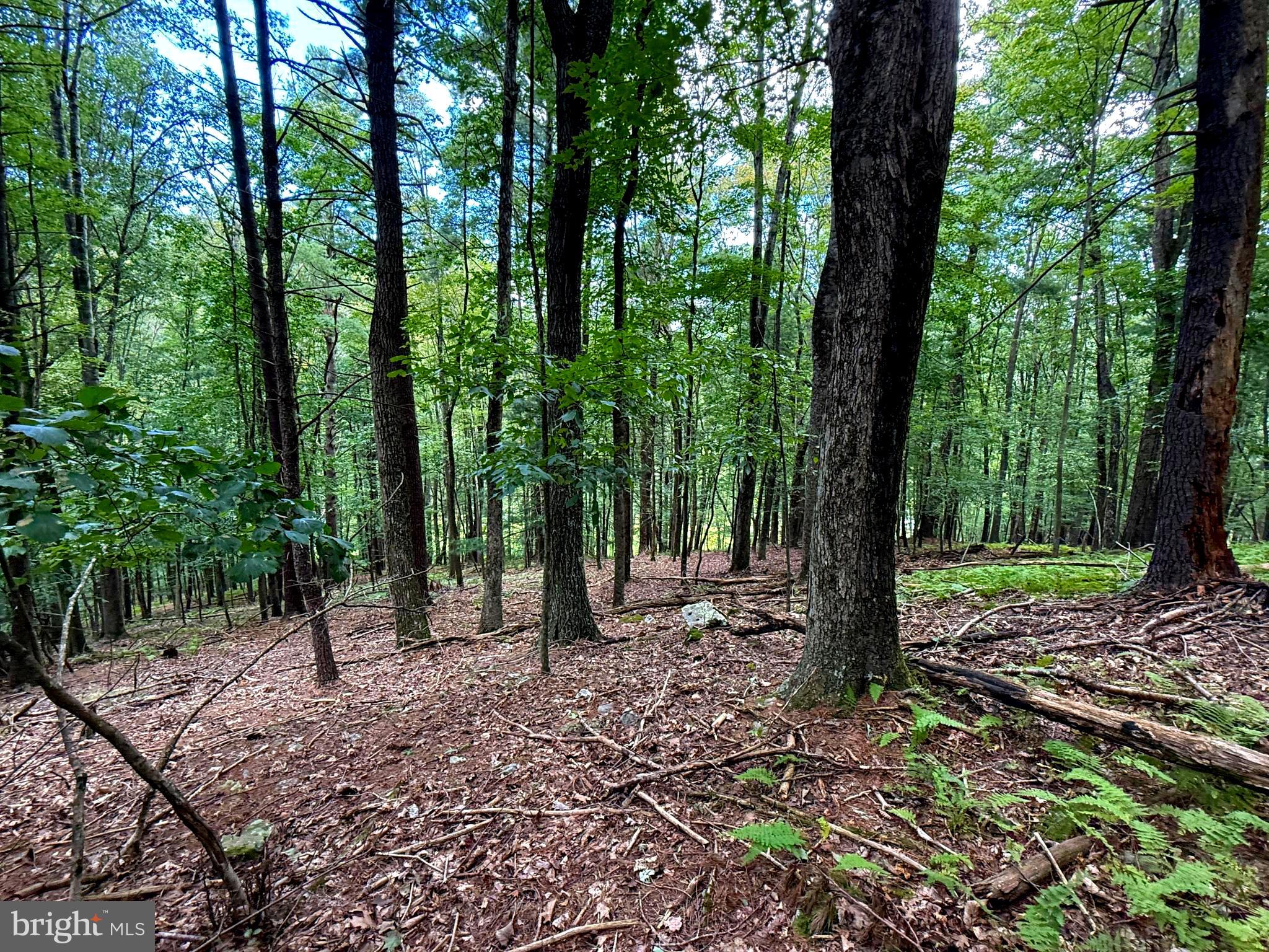 LOST RIVER MOUNTAIN SUBDIVISION - Land