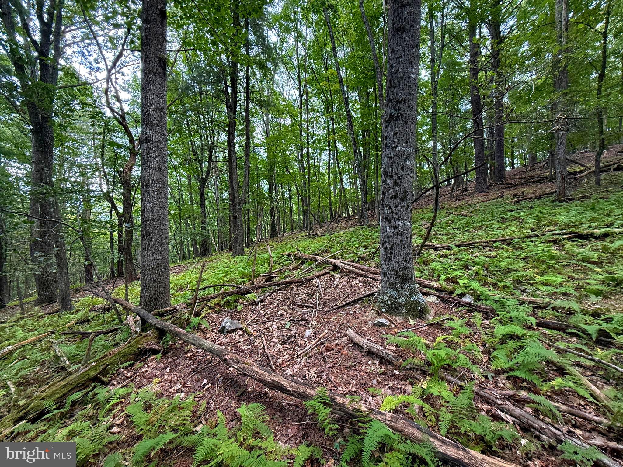 LOST RIVER MOUNTAIN SUBDIVISION - Land