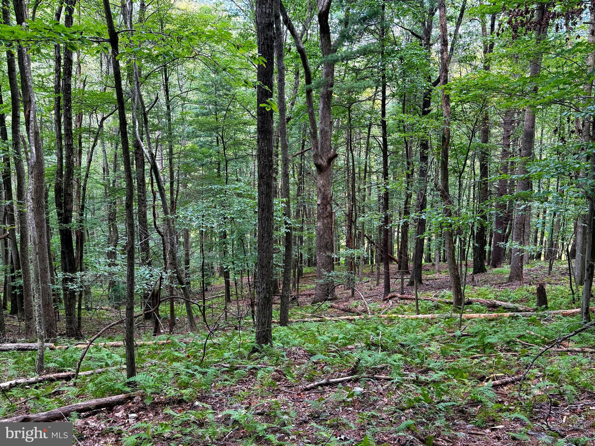 LOST RIVER MOUNTAIN SUBDIVISION - Land