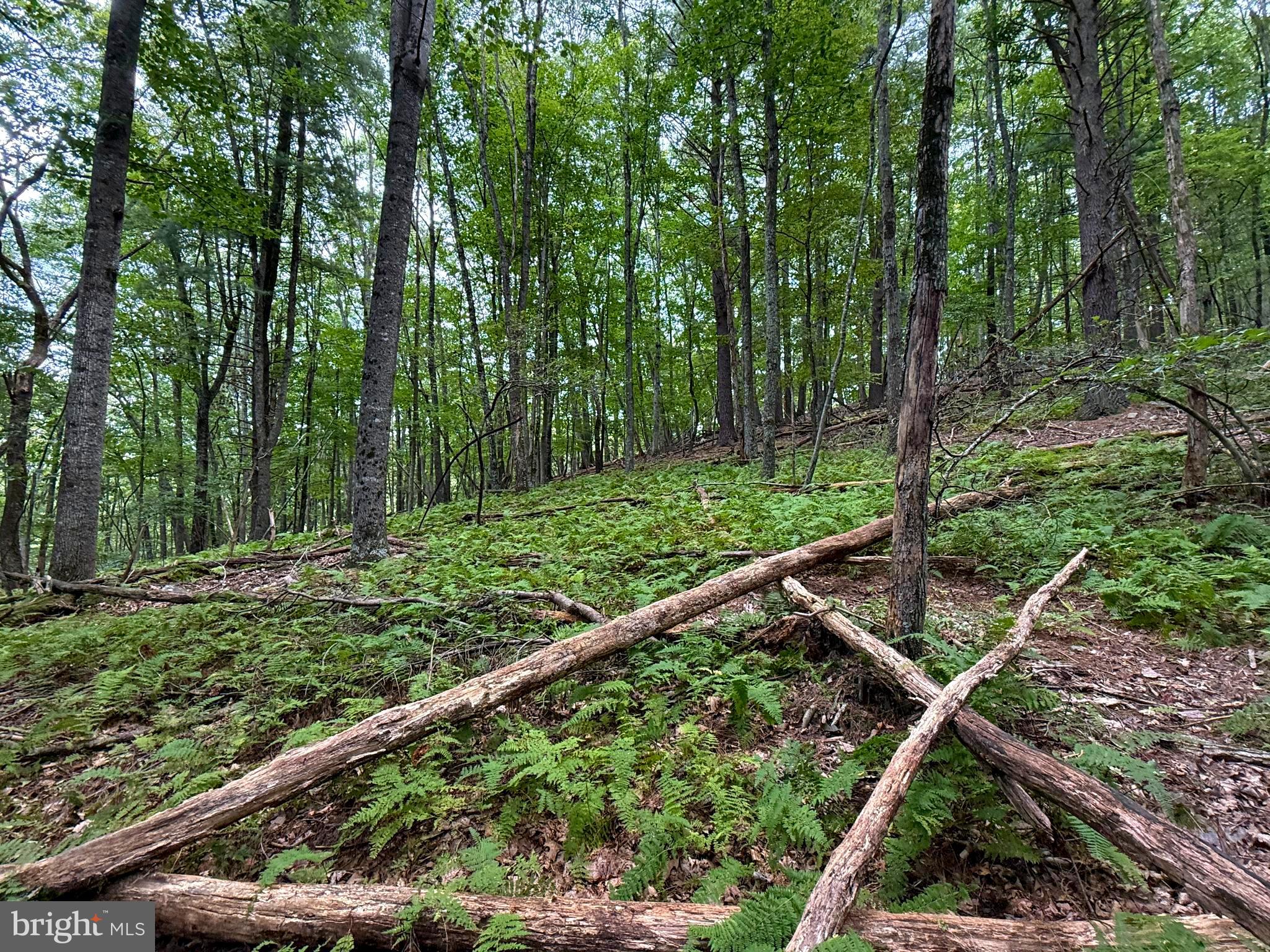 LOST RIVER MOUNTAIN SUBDIVISION - Land