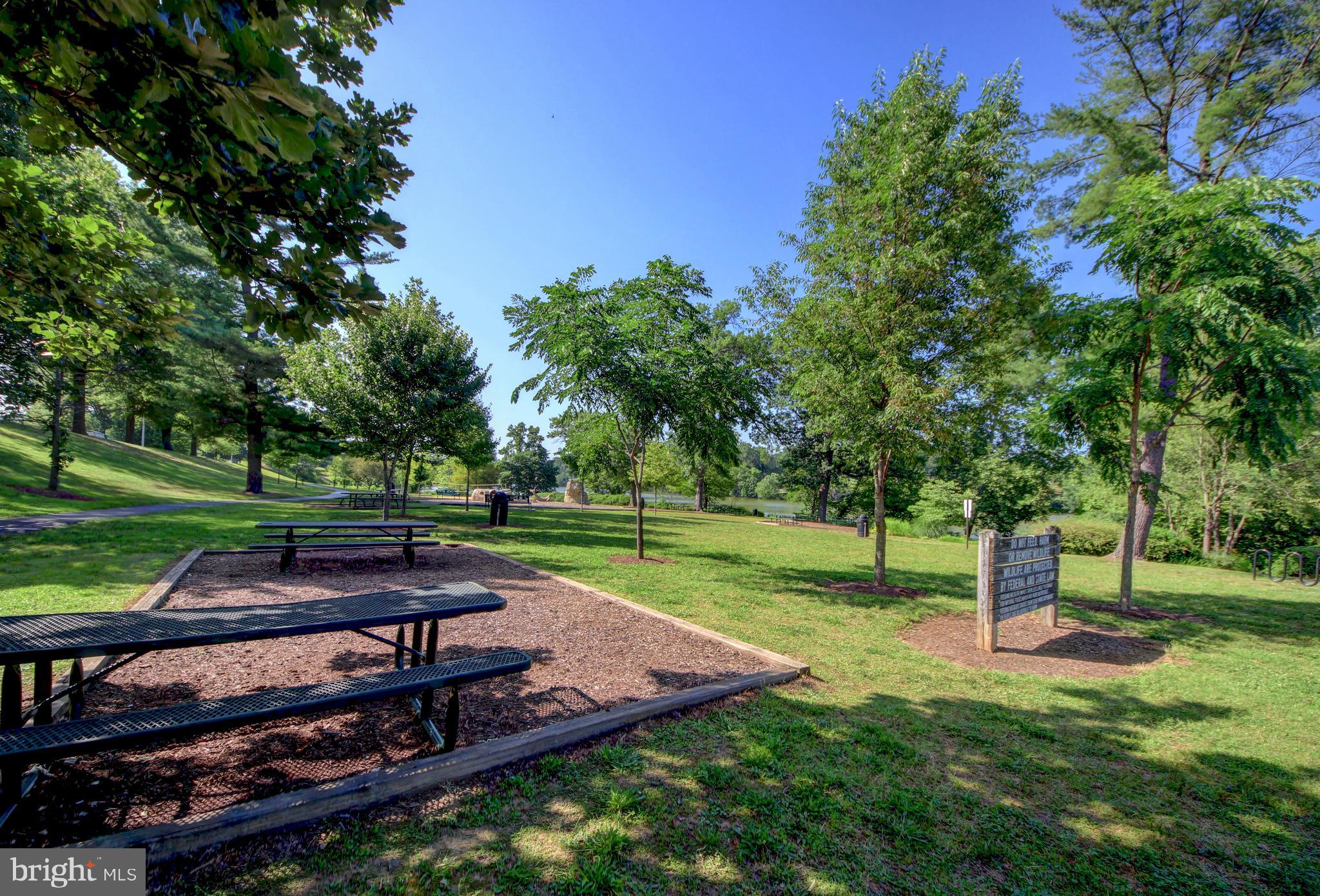 MONTGOMERY VILLAGE - Residential