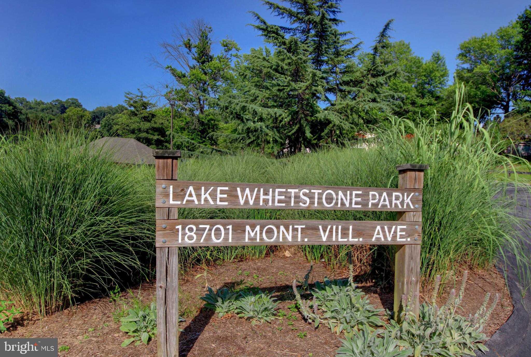 MONTGOMERY VILLAGE - Residential