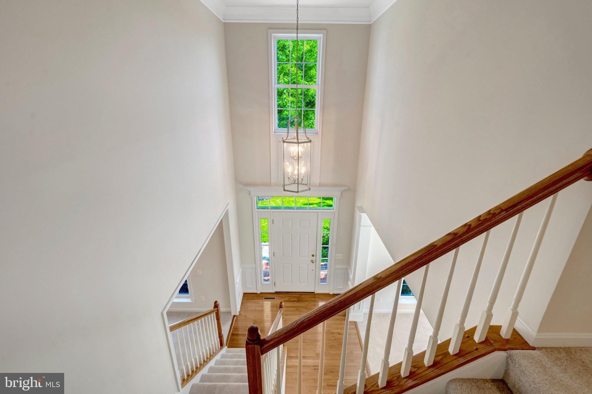 THE RIDINGS AT BLUE SPRING - Residential