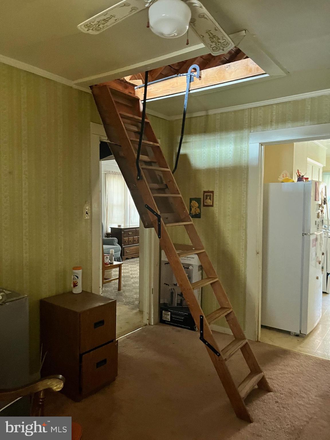 NO HOA !!! - Residential
