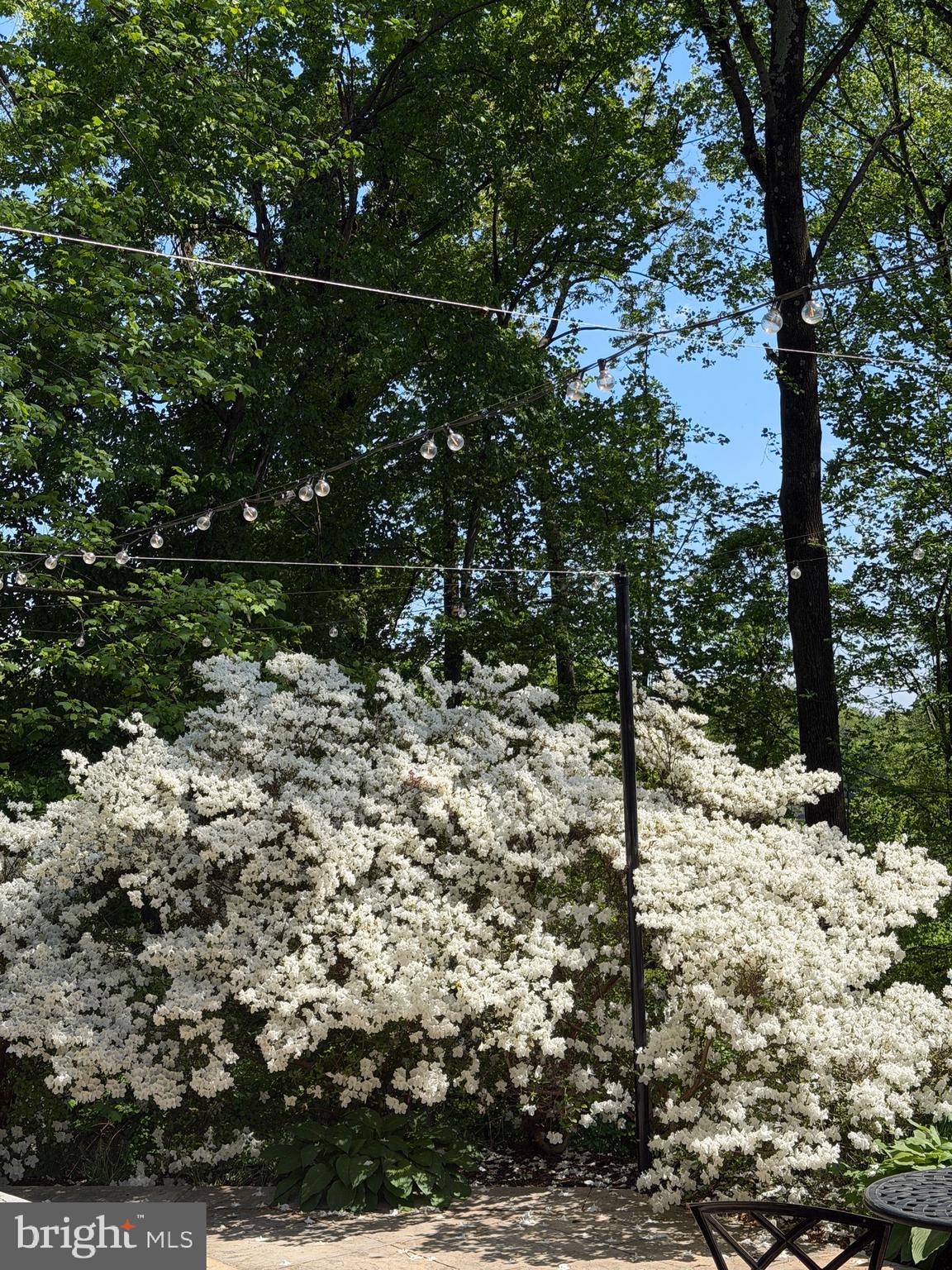 POTOMAC OUTSIDE - Residential