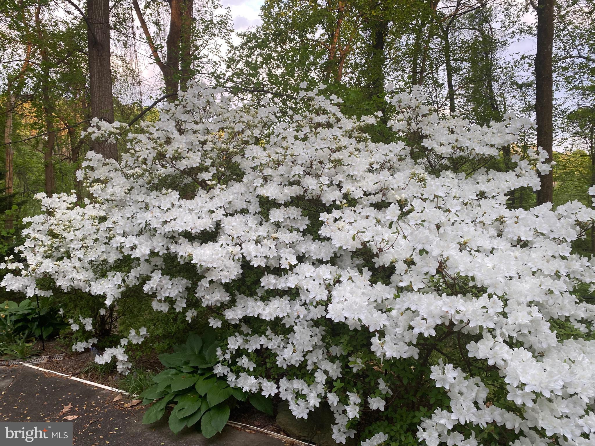 POTOMAC OUTSIDE - Residential
