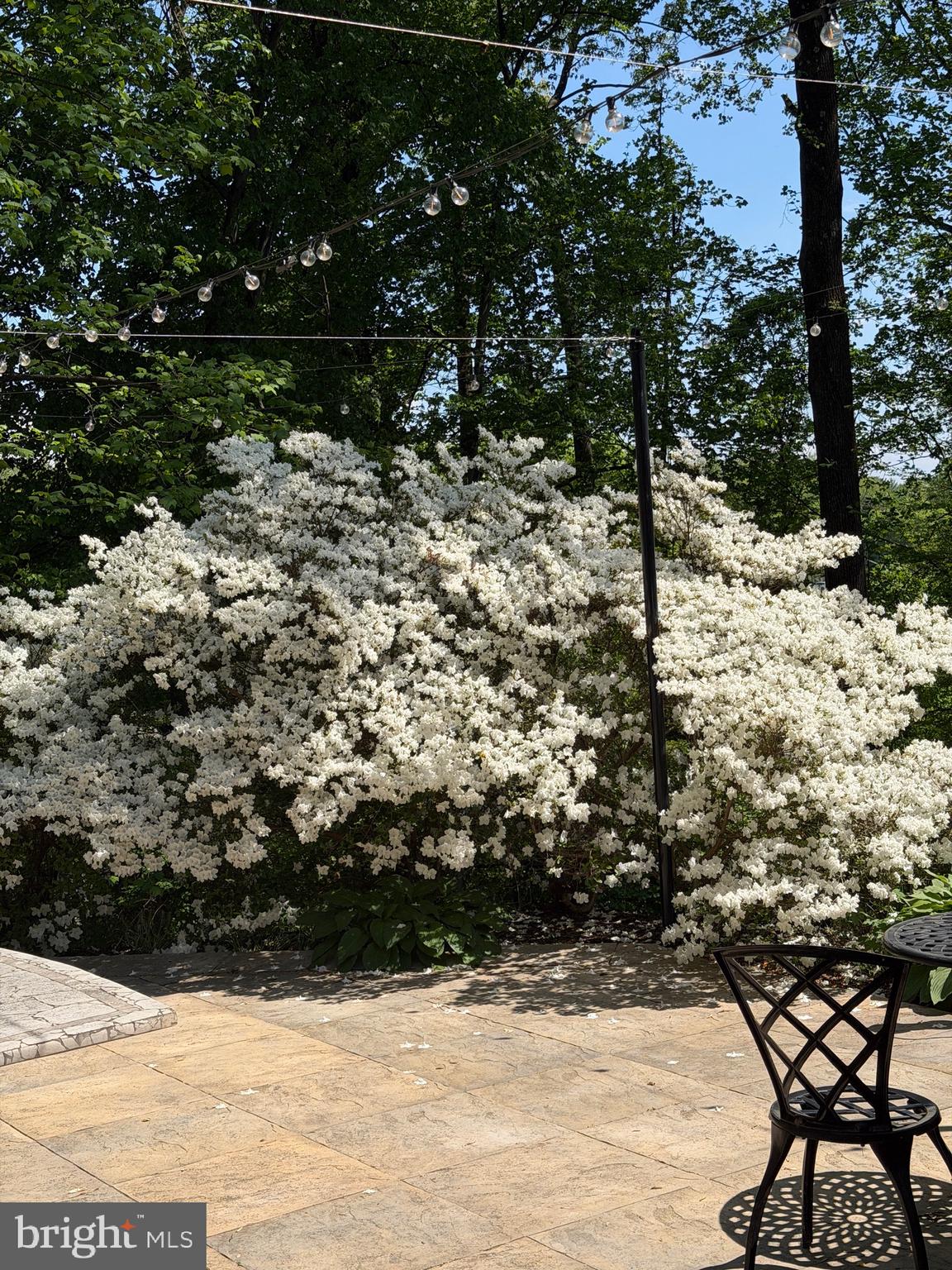 POTOMAC OUTSIDE - Residential