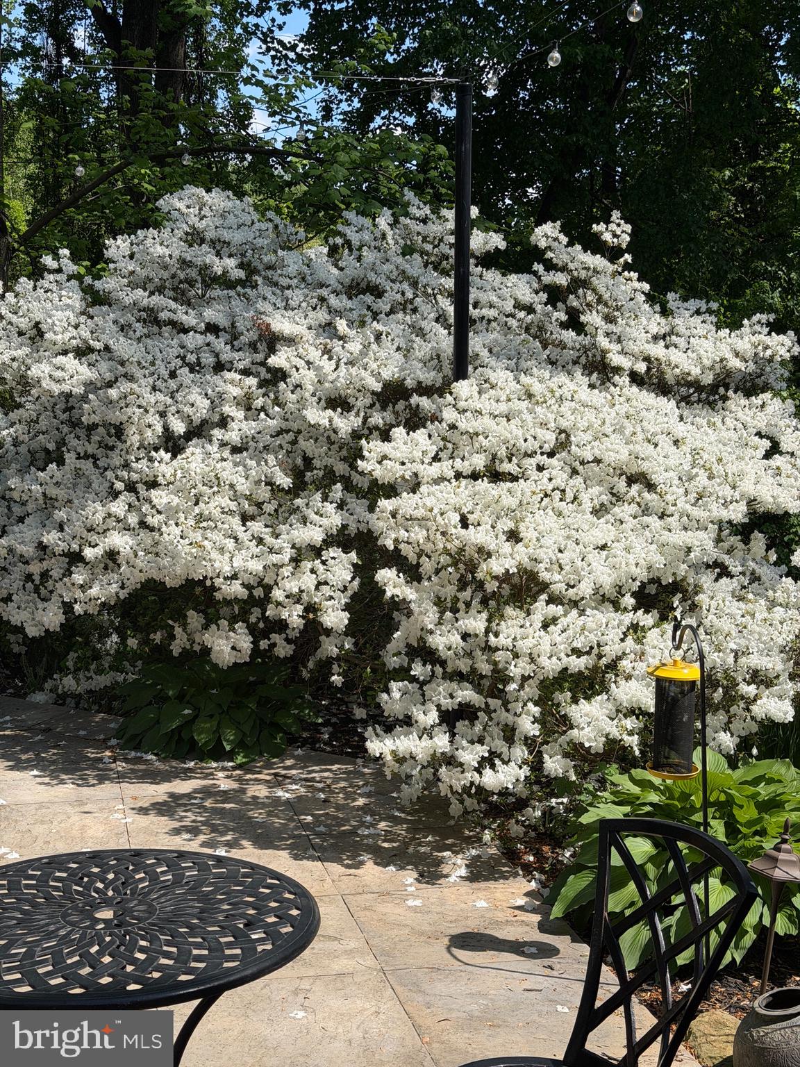 POTOMAC OUTSIDE - Residential