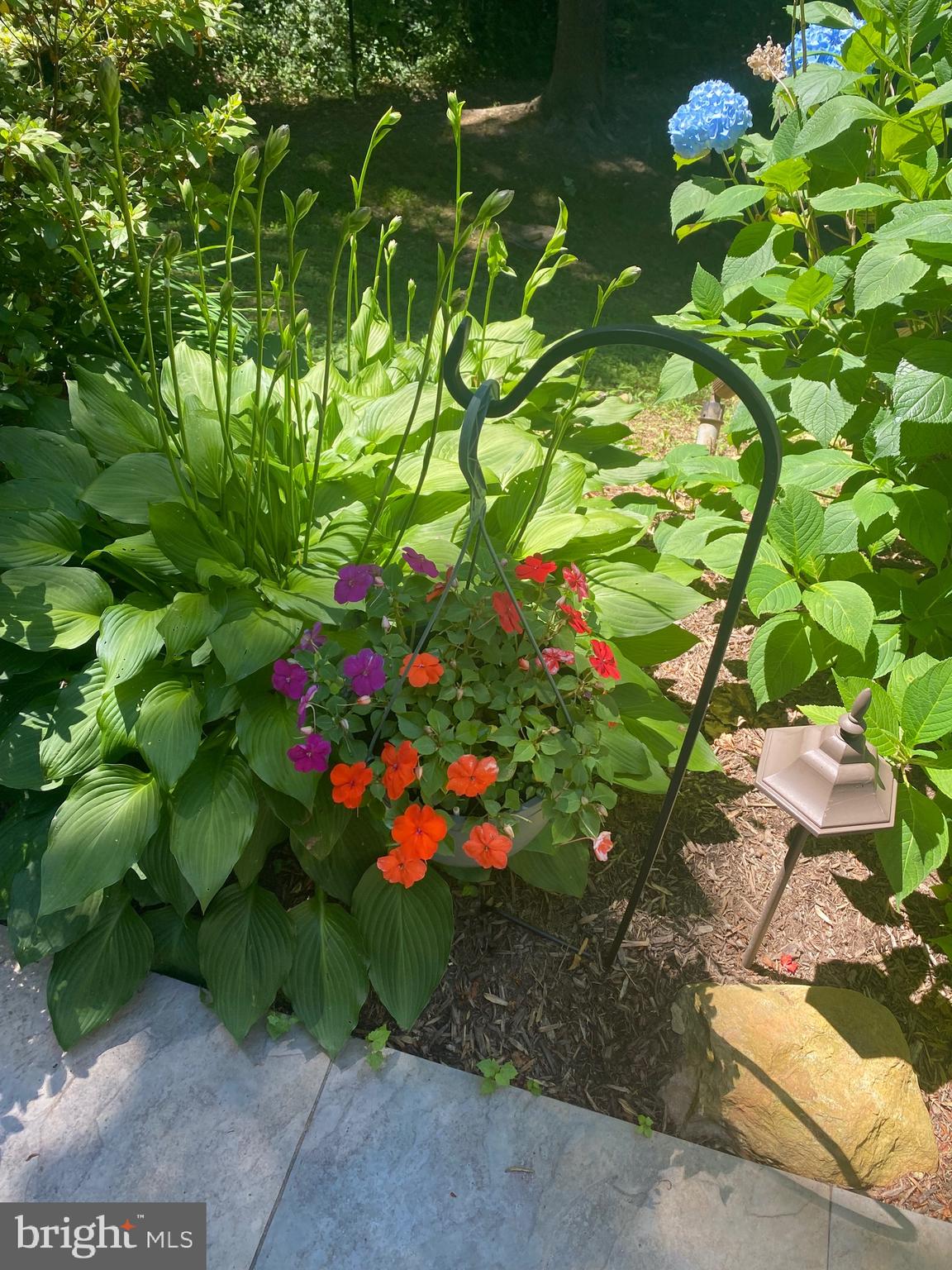 POTOMAC OUTSIDE - Residential