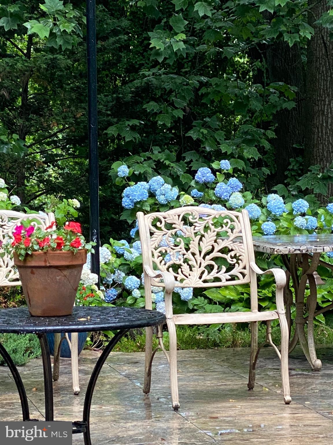 POTOMAC OUTSIDE - Residential