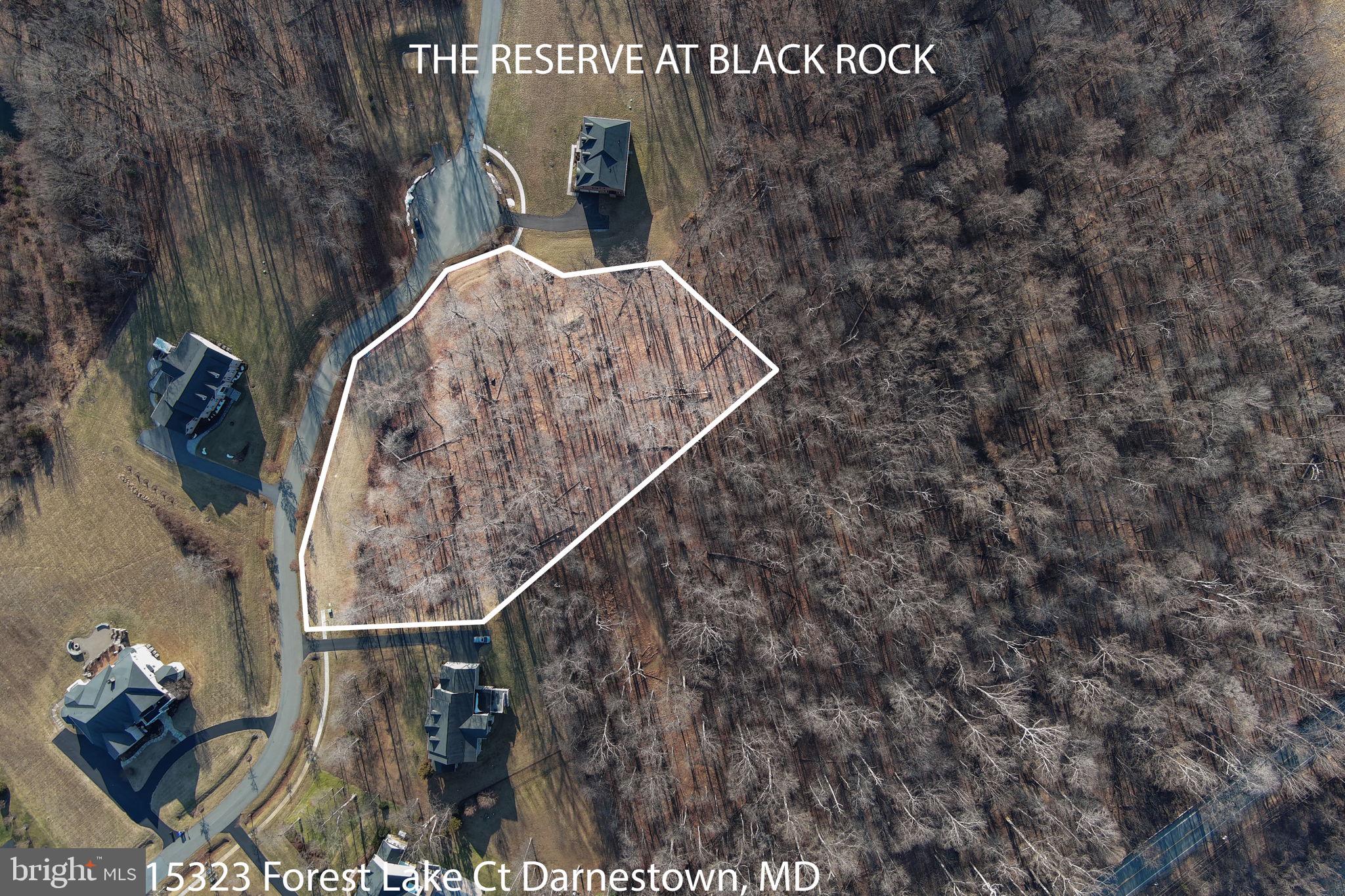 RESERVE AT BLACK ROCK - Land