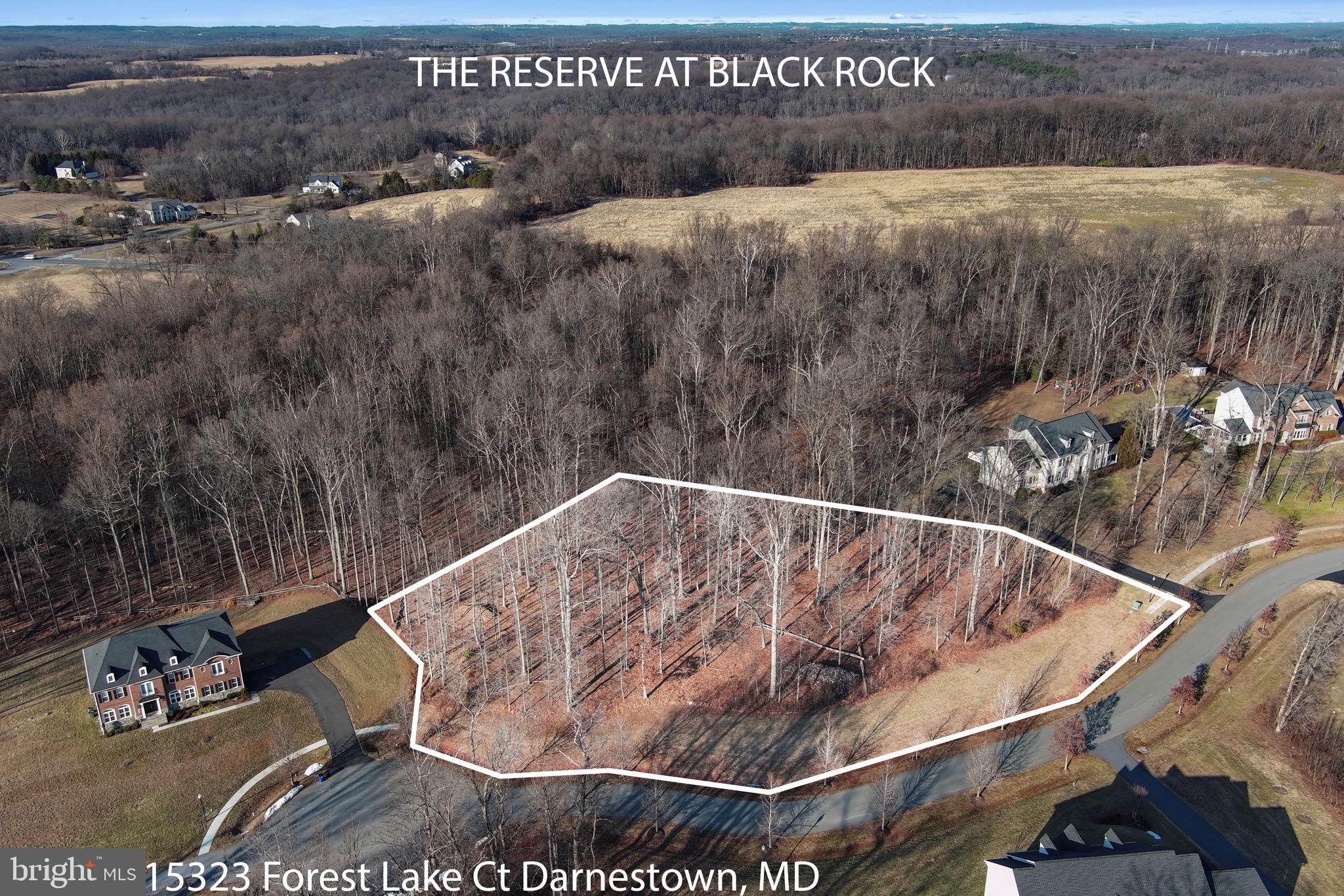 RESERVE AT BLACK ROCK - Land