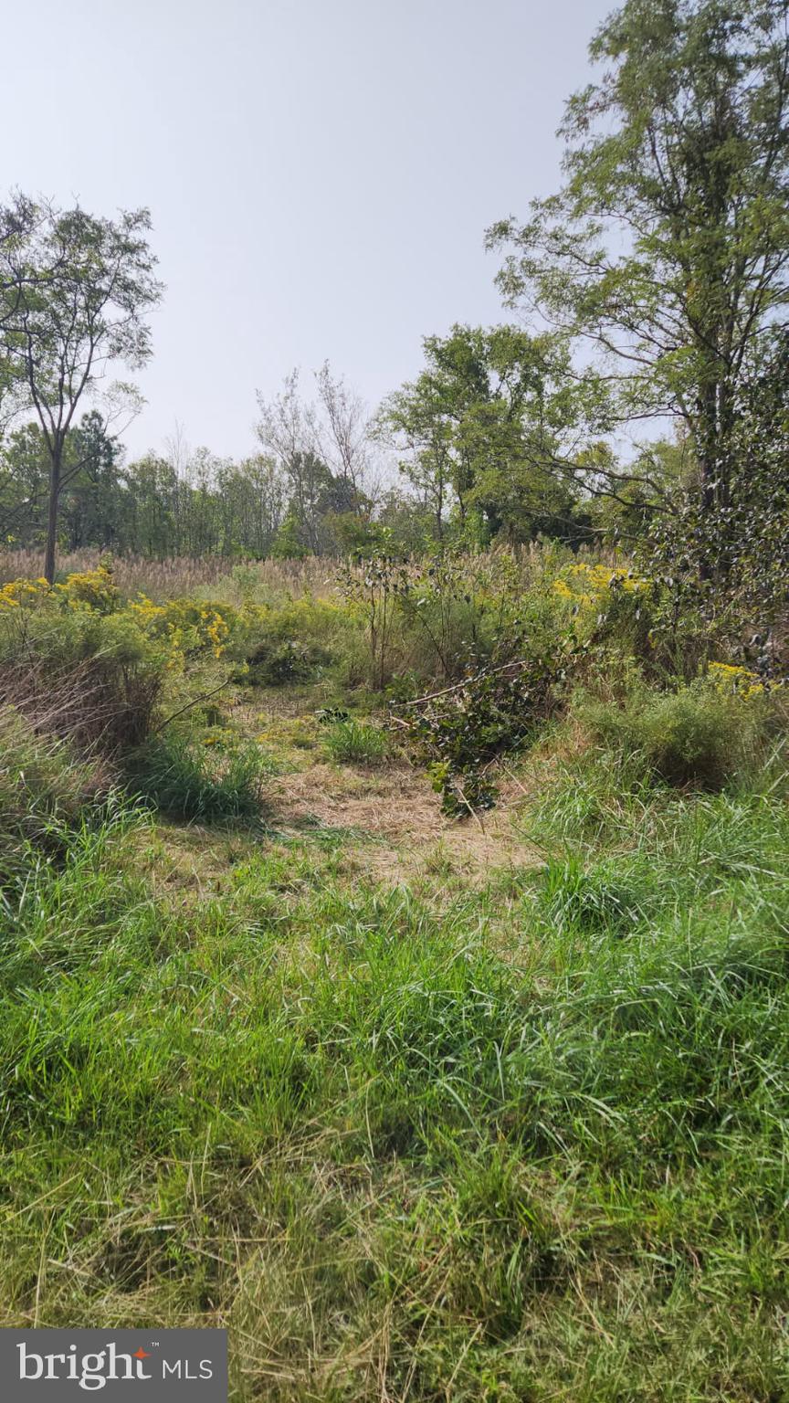 5.5  ac  easy acess  your own prive hunting preserve  or secluded getaway.
 sika deer white tails turkey and ducks ...  no perc on record,  buyer to verify. 
2 lots  tax id