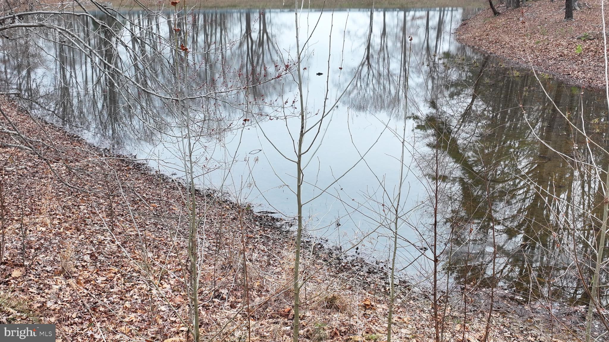 LAKE LAND OR - Residential