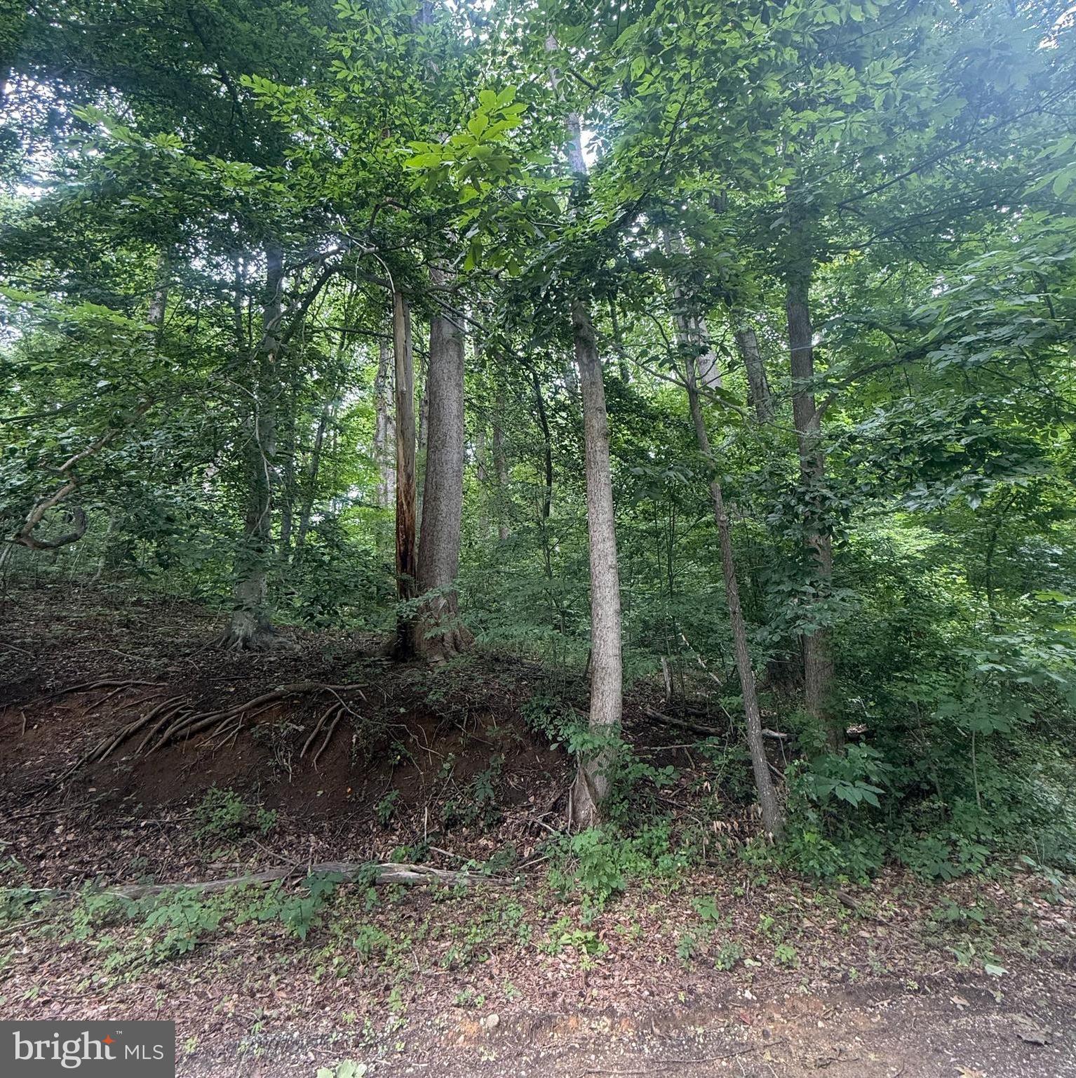 This 0.59-acre lot is located in the established Chesapeake Heights community in Prince Frederick. The property offers convenient access to the Chesapeake Bay, as well as nearby shopping centers, movie theaters, and restaurants. An optional community association is available for residents.