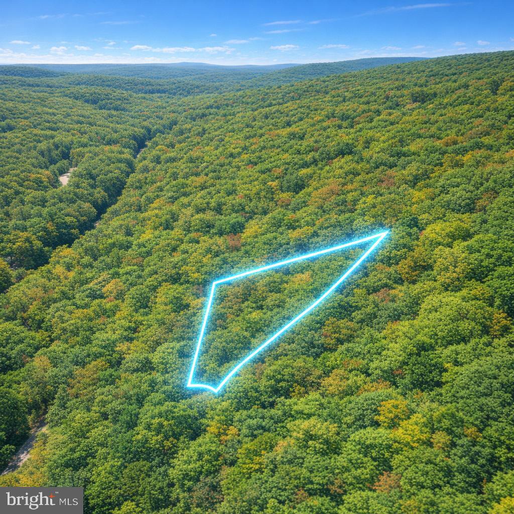 MINE MTN - Land