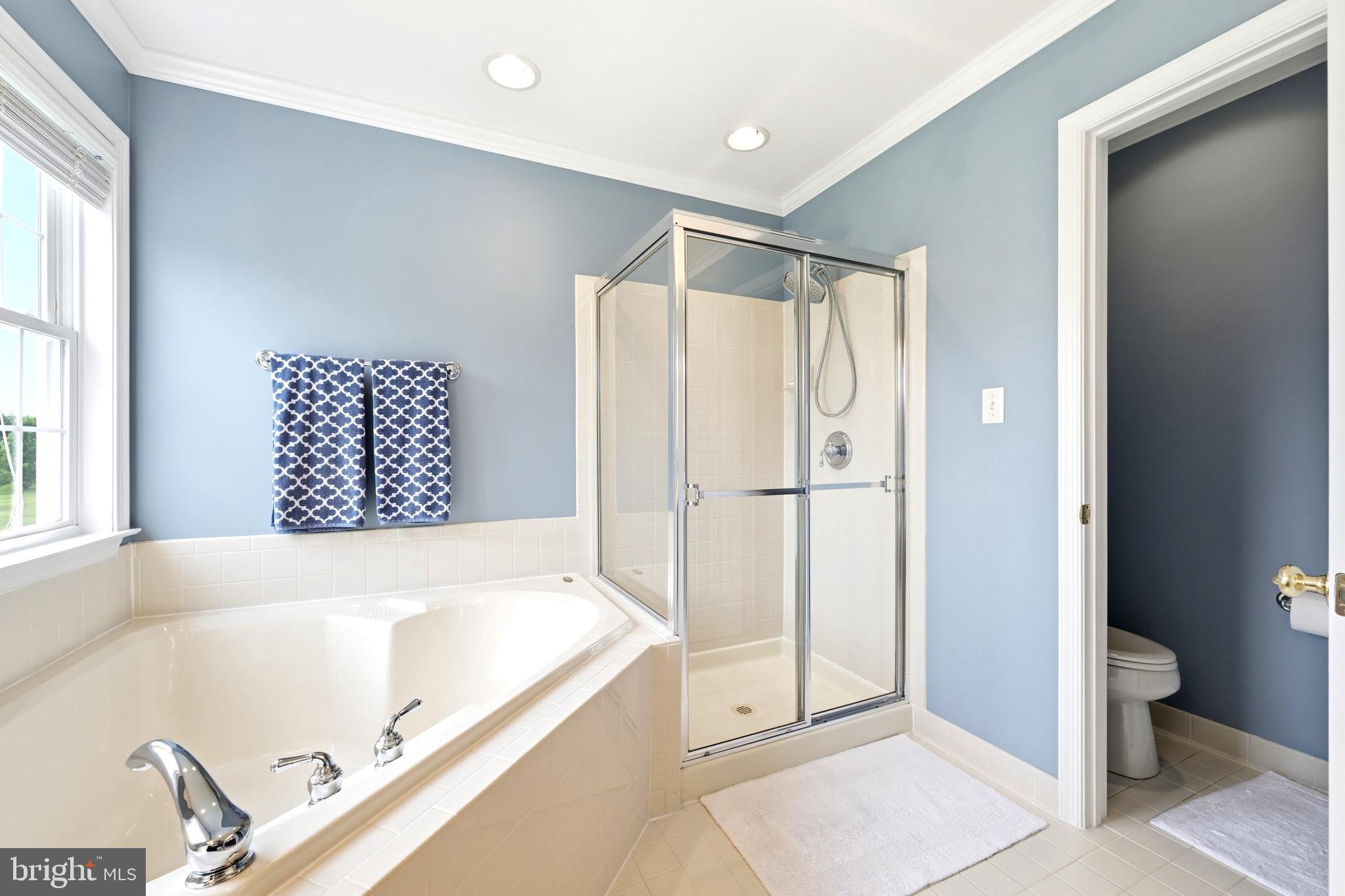 BRIARCLIFF MANOR - Residential
