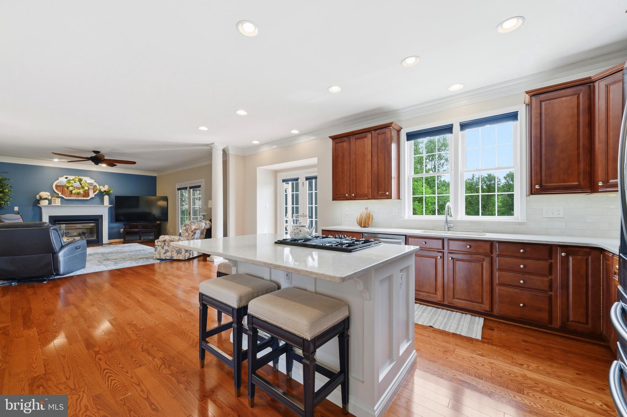 BRIARCLIFF MANOR - Residential