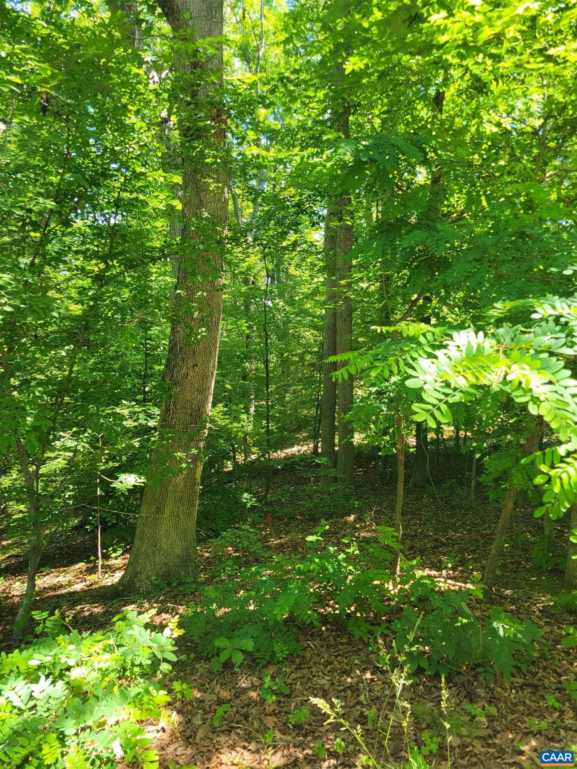 Oversized building lot overlooking the Rivanna River at Lake Monticello.  Build your own vision with the river & pasture views and enjoy the abundance of wildlife and privacy.   Under 30 mins to Charlottesville.  Come experience all the amenities Lake Monticello has to offer! High Speed Internet. Public water and Sewer.