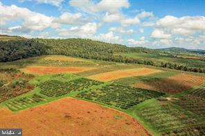 RURAL - Farm