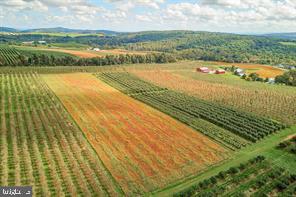 RURAL - Farm