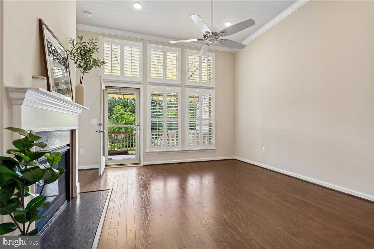 LEXINGTON 7 - Residential