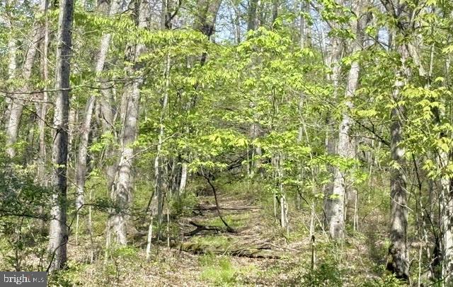 TURKEY NECK ESTATES - Land