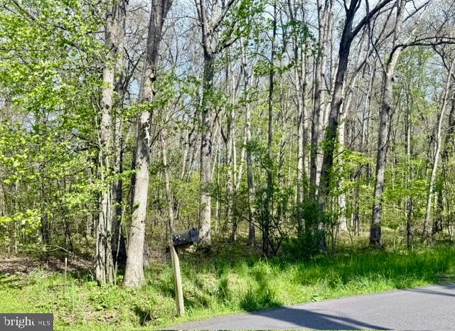 TURKEY NECK ESTATES - Land