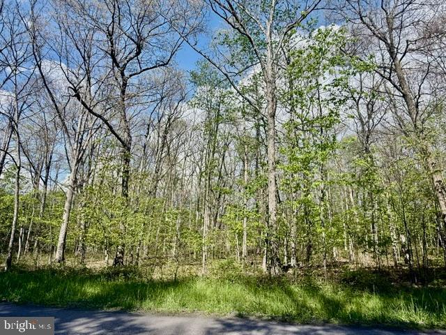 TURKEY NECK ESTATES - Land