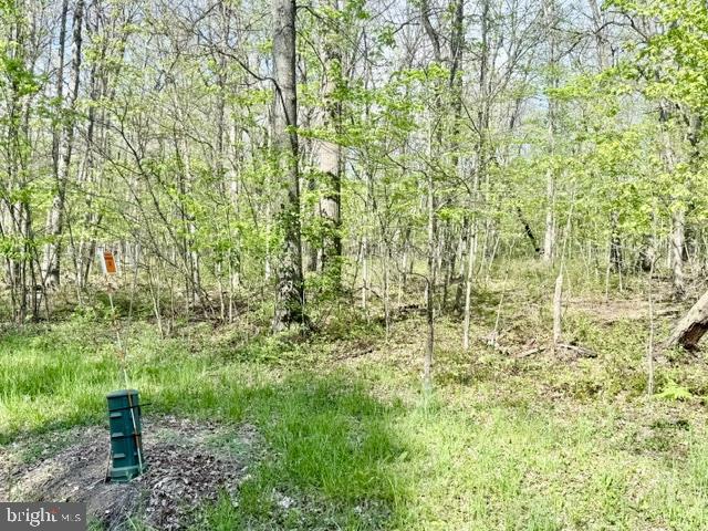 TURKEY NECK ESTATES - Land