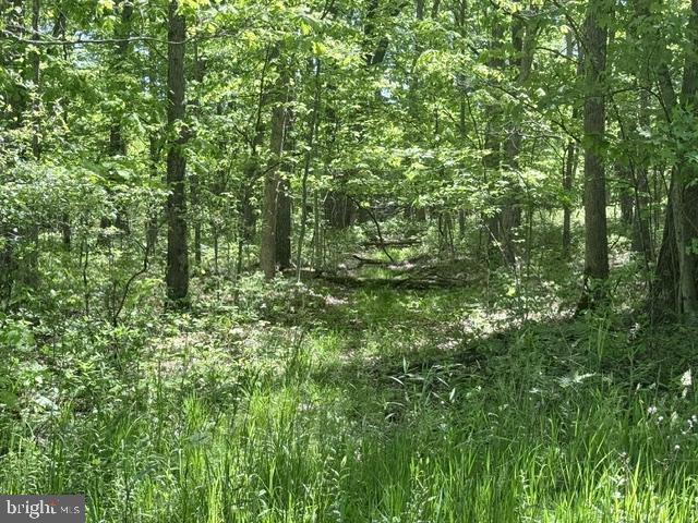 TURKEY NECK ESTATES - Land