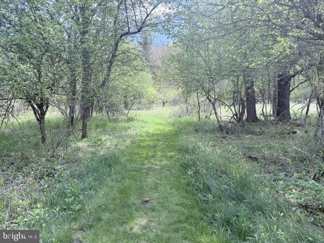 TURKEY NECK ESTATES - Land