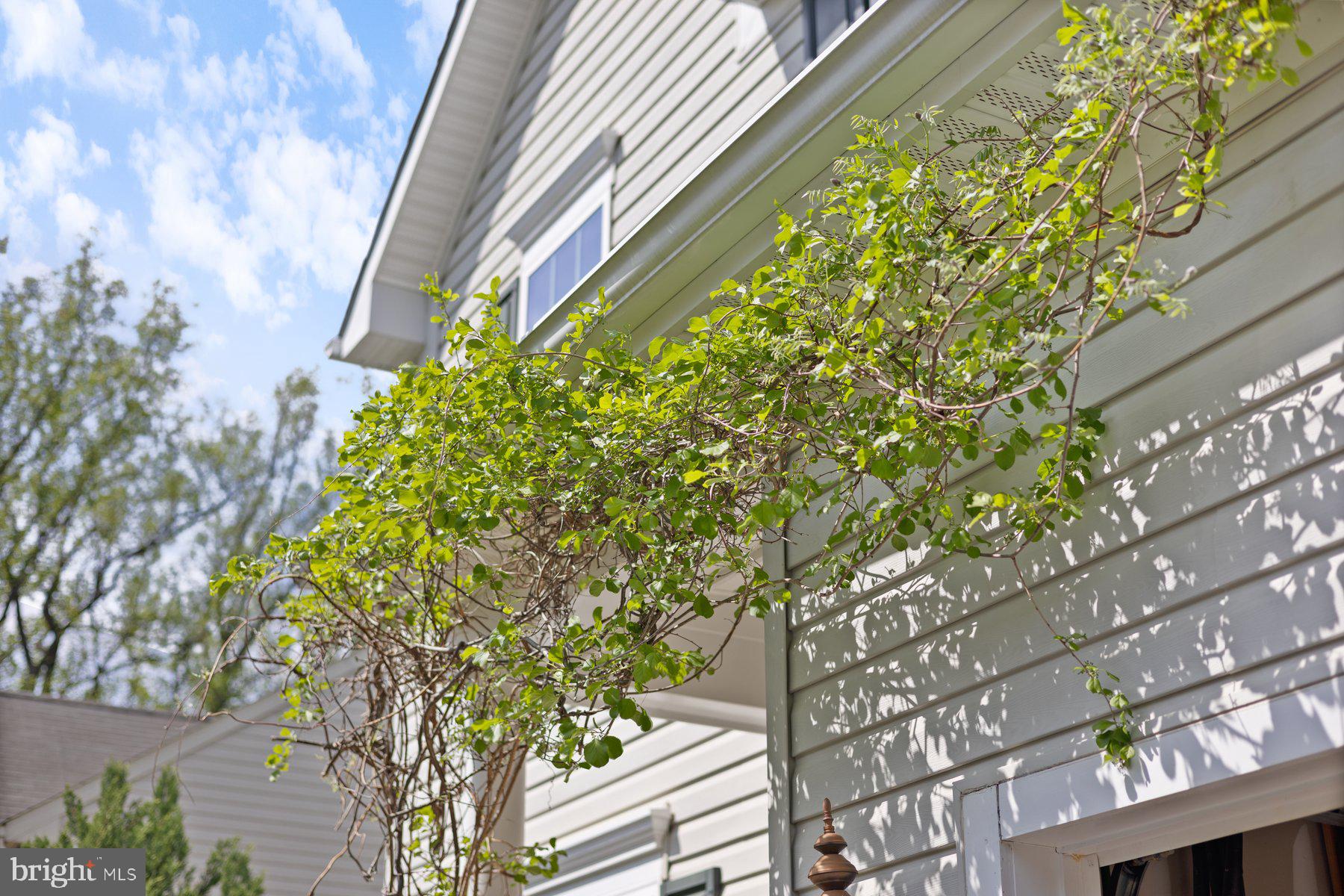 TAYLOR VILLAGE - Residential