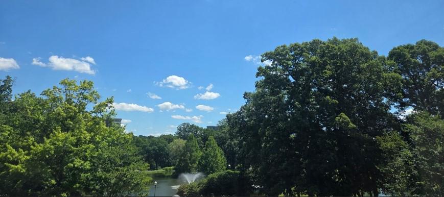 GREENS AT LEISURE WORLD - Residential