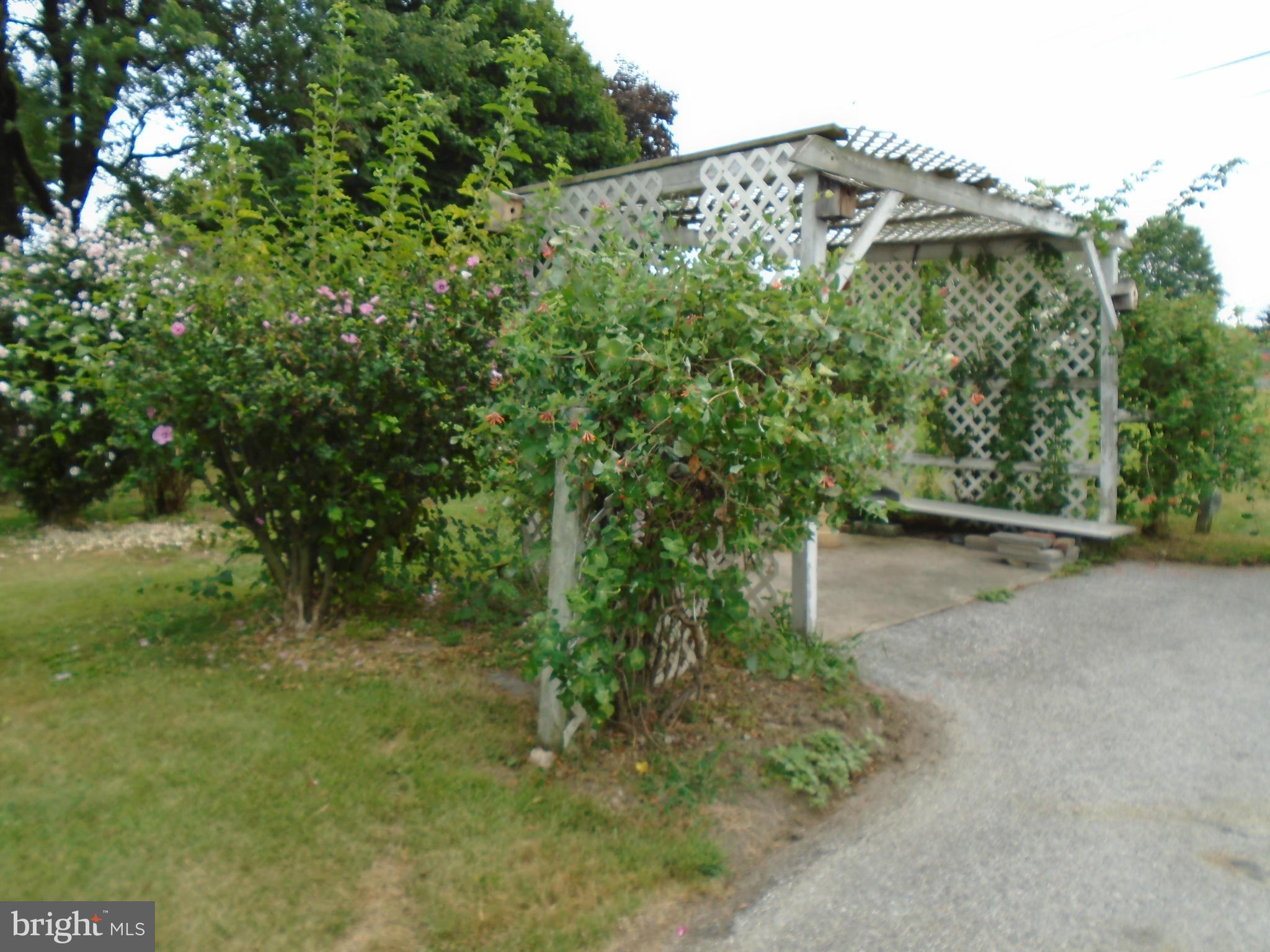 BOWMAN HEIGHTS - Residential