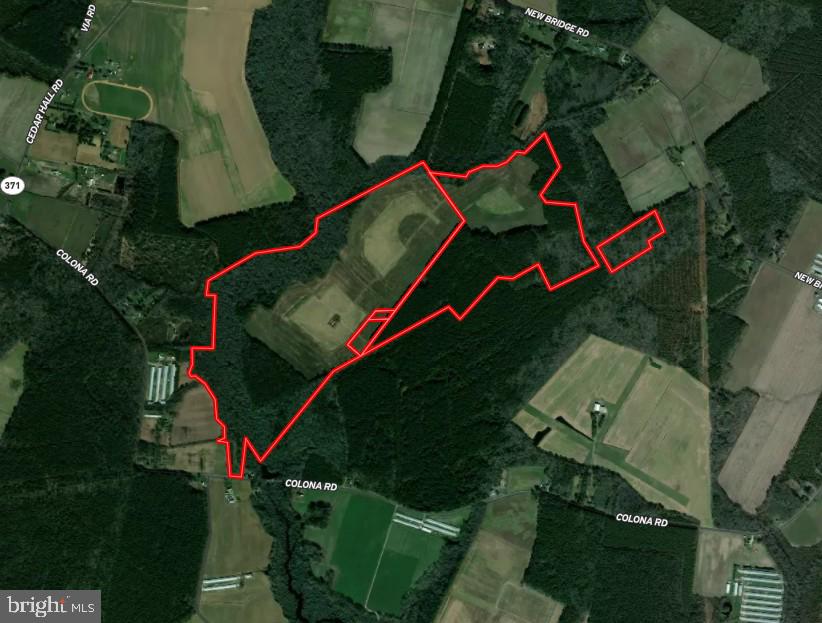 This ownership sits in the southwestern corner of Worcester County where the headwaters of Little Mill Creek feed into the Pocomoke River and the Pocomoke Sound. Situated with the Pocomoke River just over a mile to the west and Pitts Creek approximately 1.5+/- miles to the south, the farm lays within a prime corridor for Waterfowl, Whitetail, Turkey, and other upland species. The 137+/- cleared acres position the farm to be ideal for crop production with recently terminated CRP/CREP grassland (104+/- acres) adding organic matter and soil structure from years of rest. The remaining 125+/- acres are characterized by 50+/- acres of hardwood bottom/pine and 75+/- acres of cut over woods completed in 2025. An older residential structure sits near the center of the property and is of no value. The structure and utilities available are being sold as is where is. Tax map boundaries and deed description do not align. Survey available under documents or through listing agent.

Farming rights for the 2026 growing season will convey in the sale of this property. Property is NOT encumbered with a conservation easement. DO NOT ENTER PROPERTY WITHOUT PERMISSION OF THE LISTING AGENT.