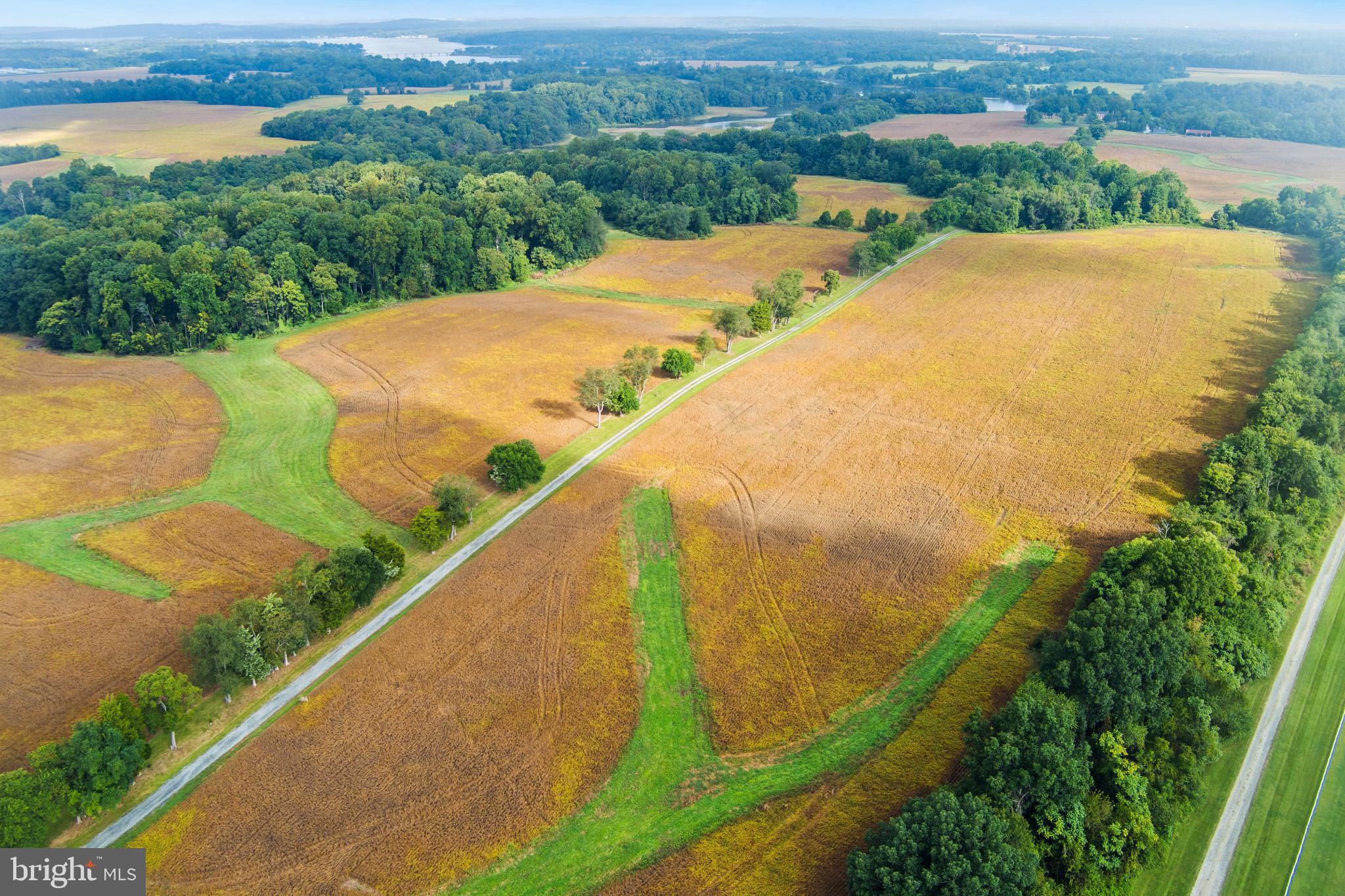CECIL C - Farm