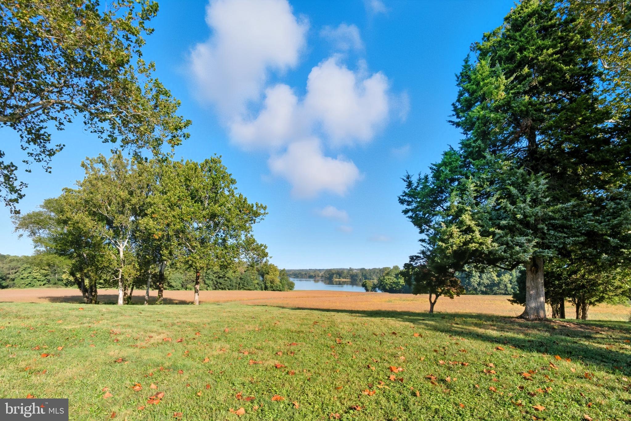 CECIL C - Farm